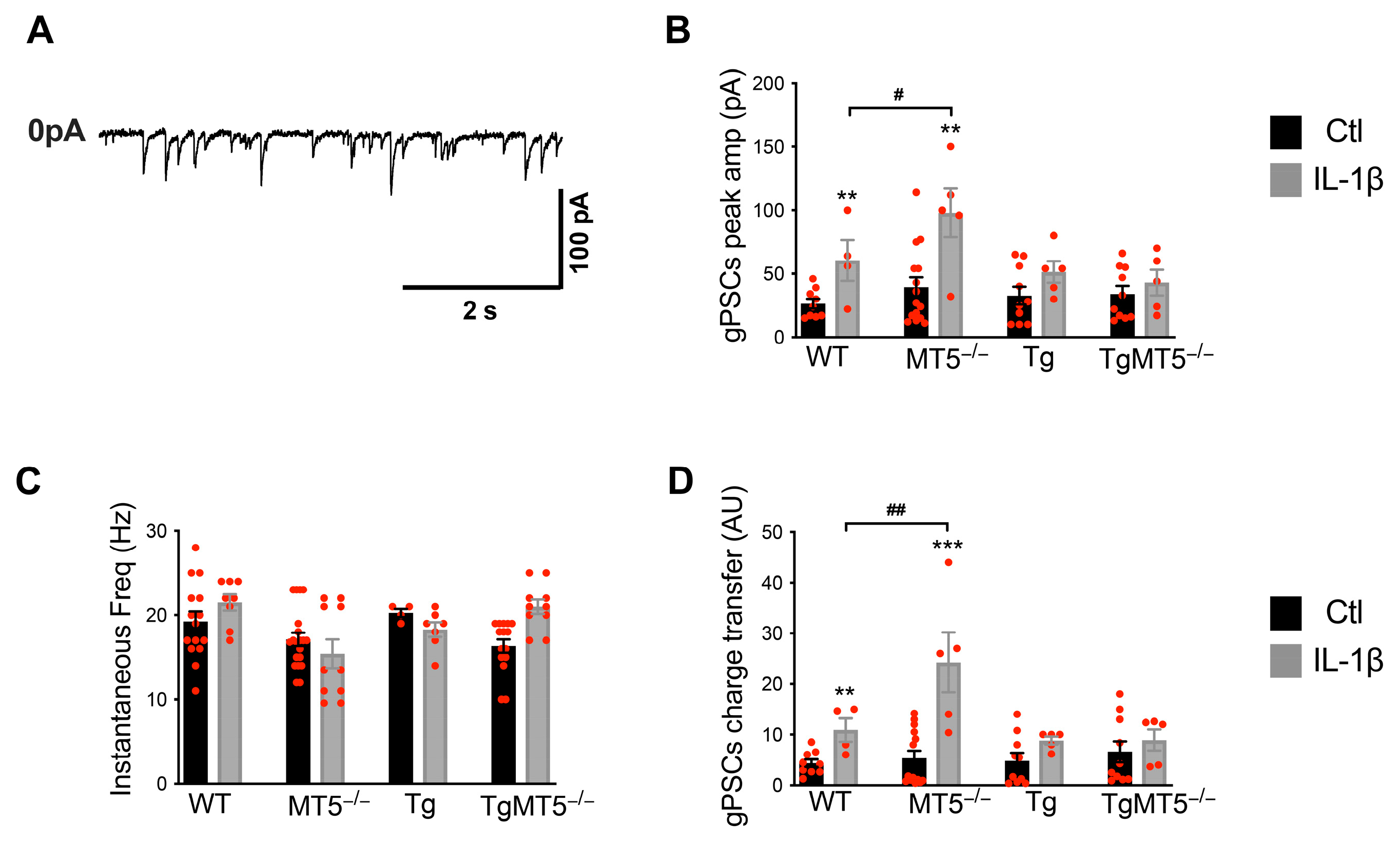 Biomolecules 14 01645 g006 Biomolecules 14 01645 g006