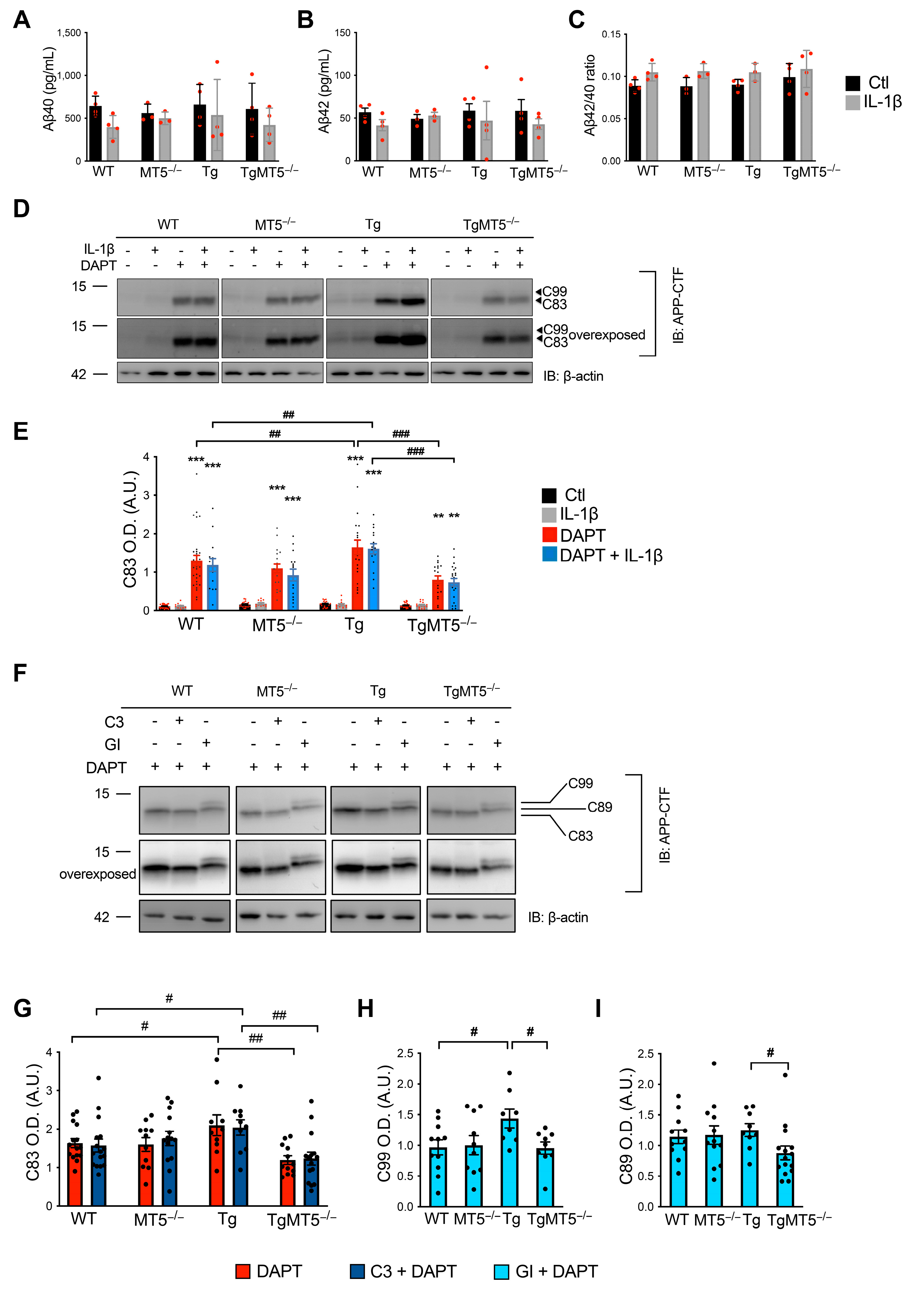 Biomolecules 14 01645 g008 Biomolecules 14 01645 g008