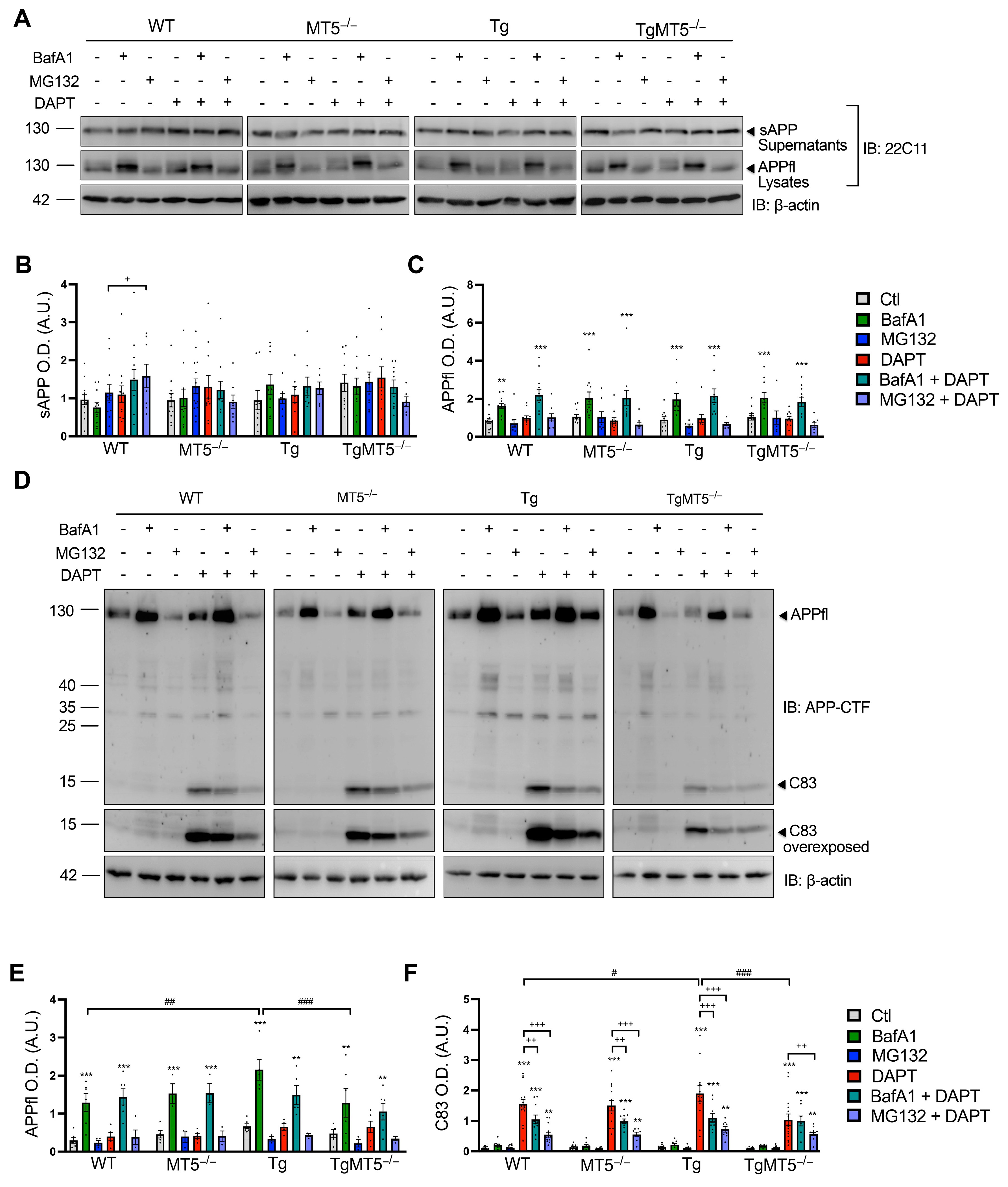 Biomolecules 14 01645 g009 Biomolecules 14 01645 g009