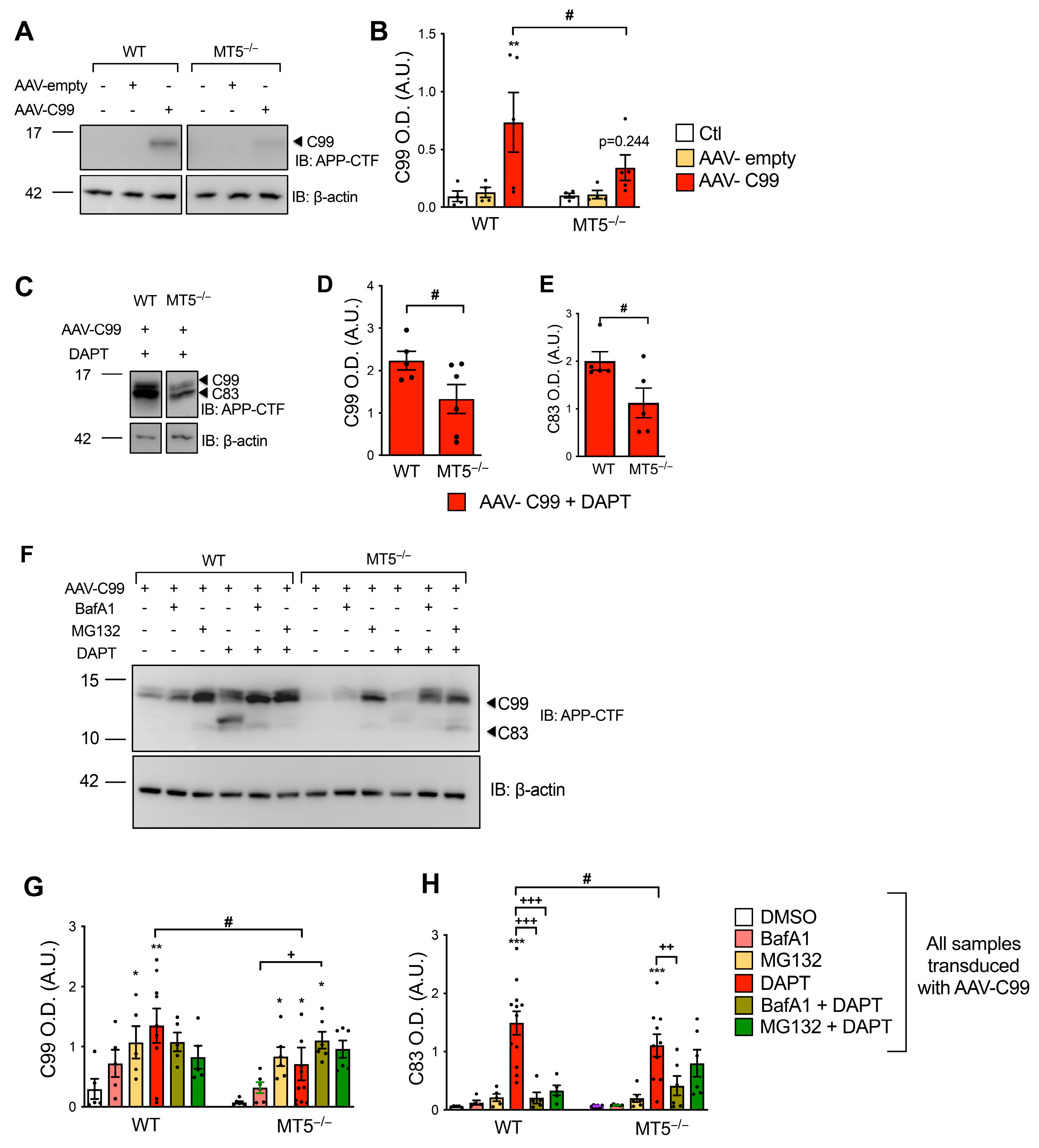 Biomolecules 14 01645 g010 Biomolecules 14 01645 g010