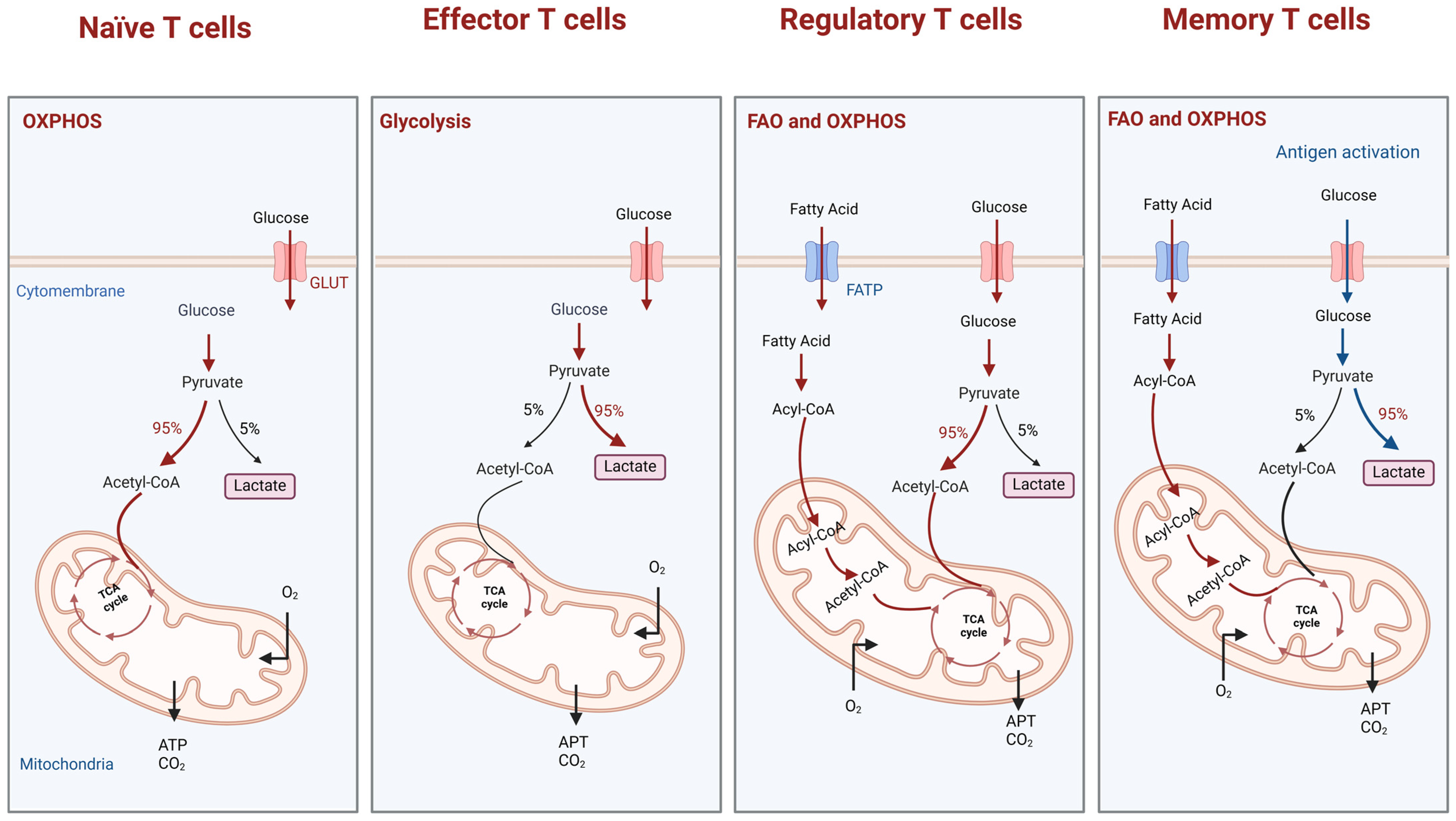 Biomolecules 14 01646 g001