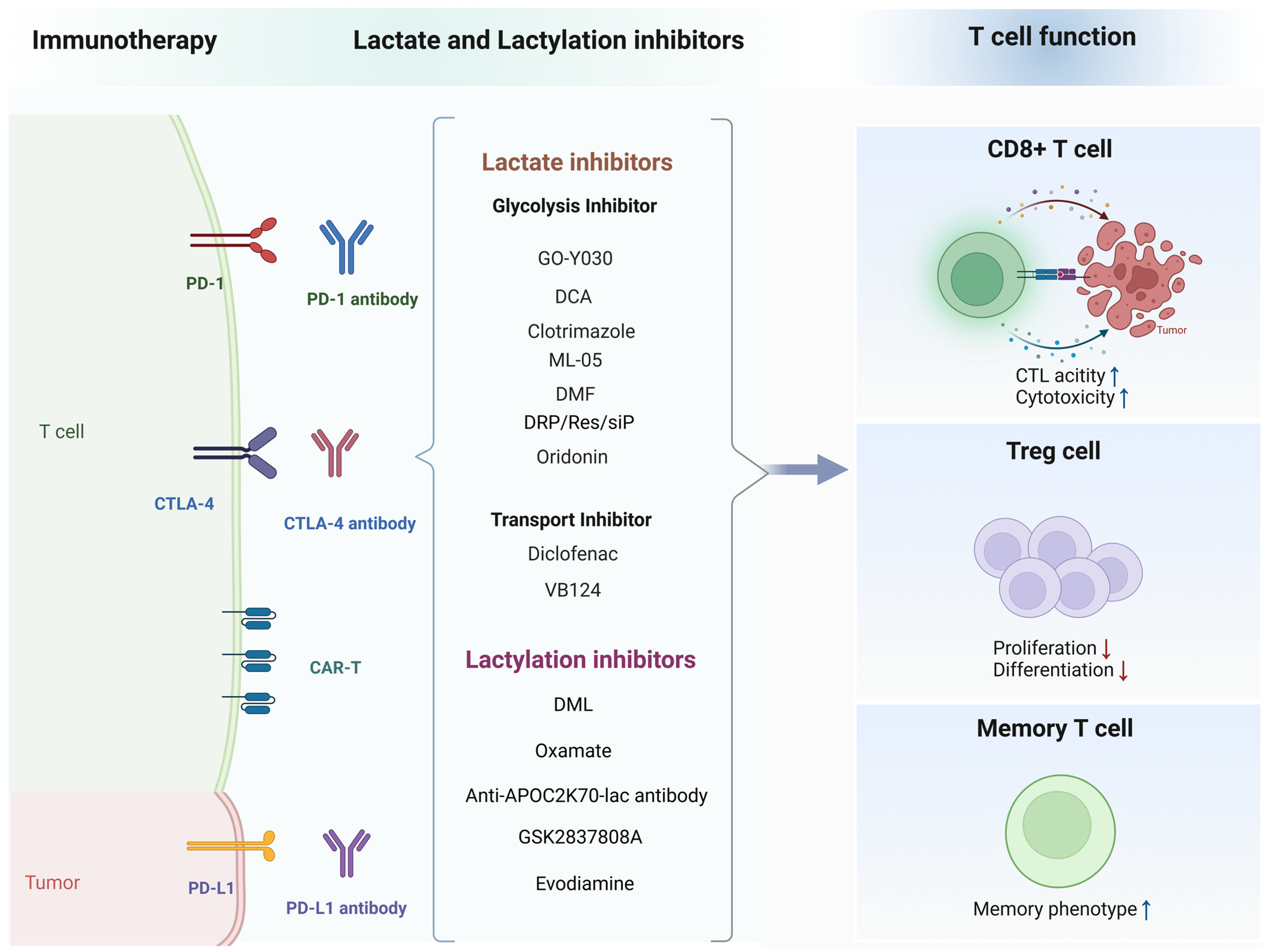 Biomolecules 14 01646 g004
