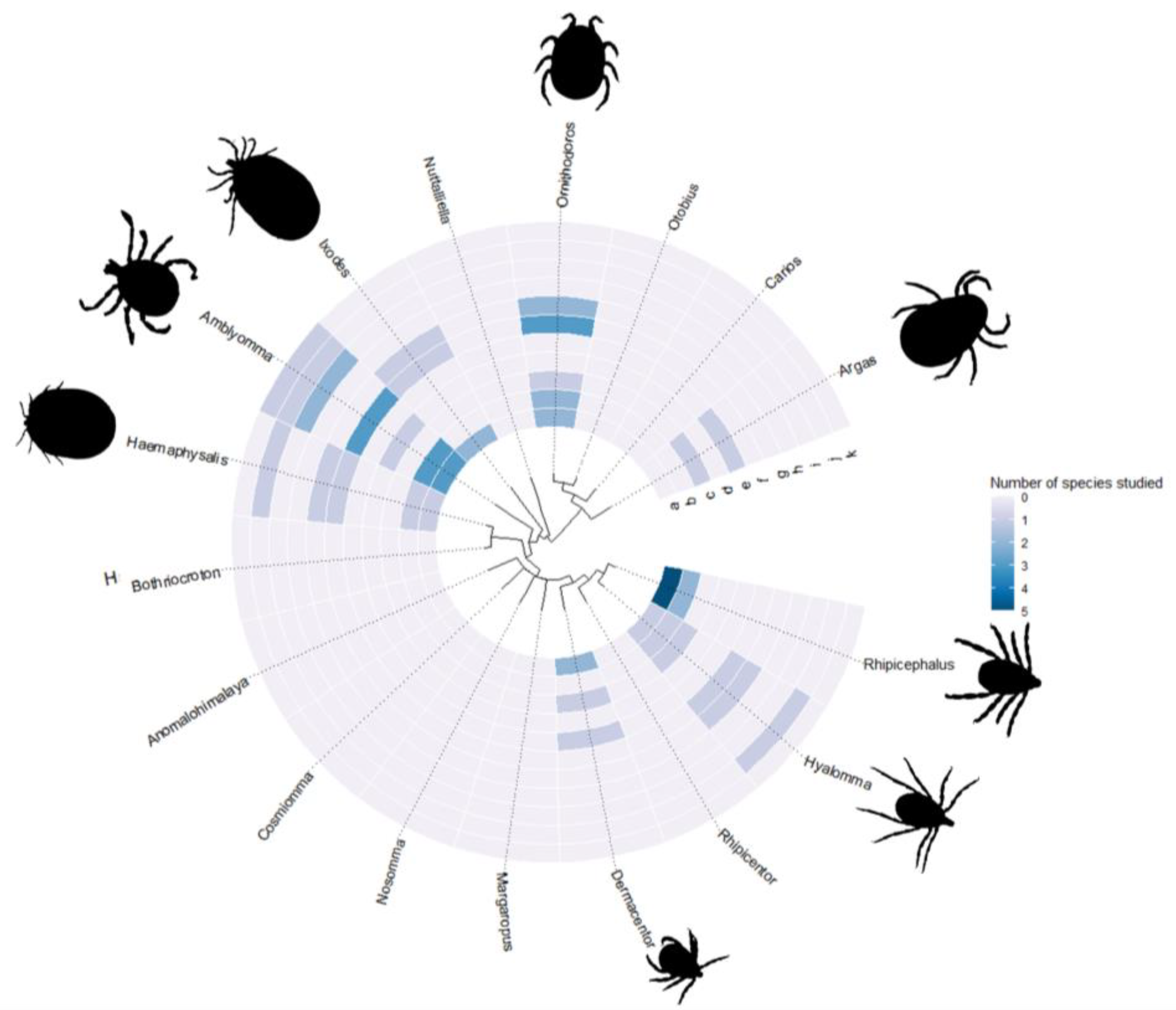Biomolecules 14 01647 g001 Biomolecules 14 01647 g001