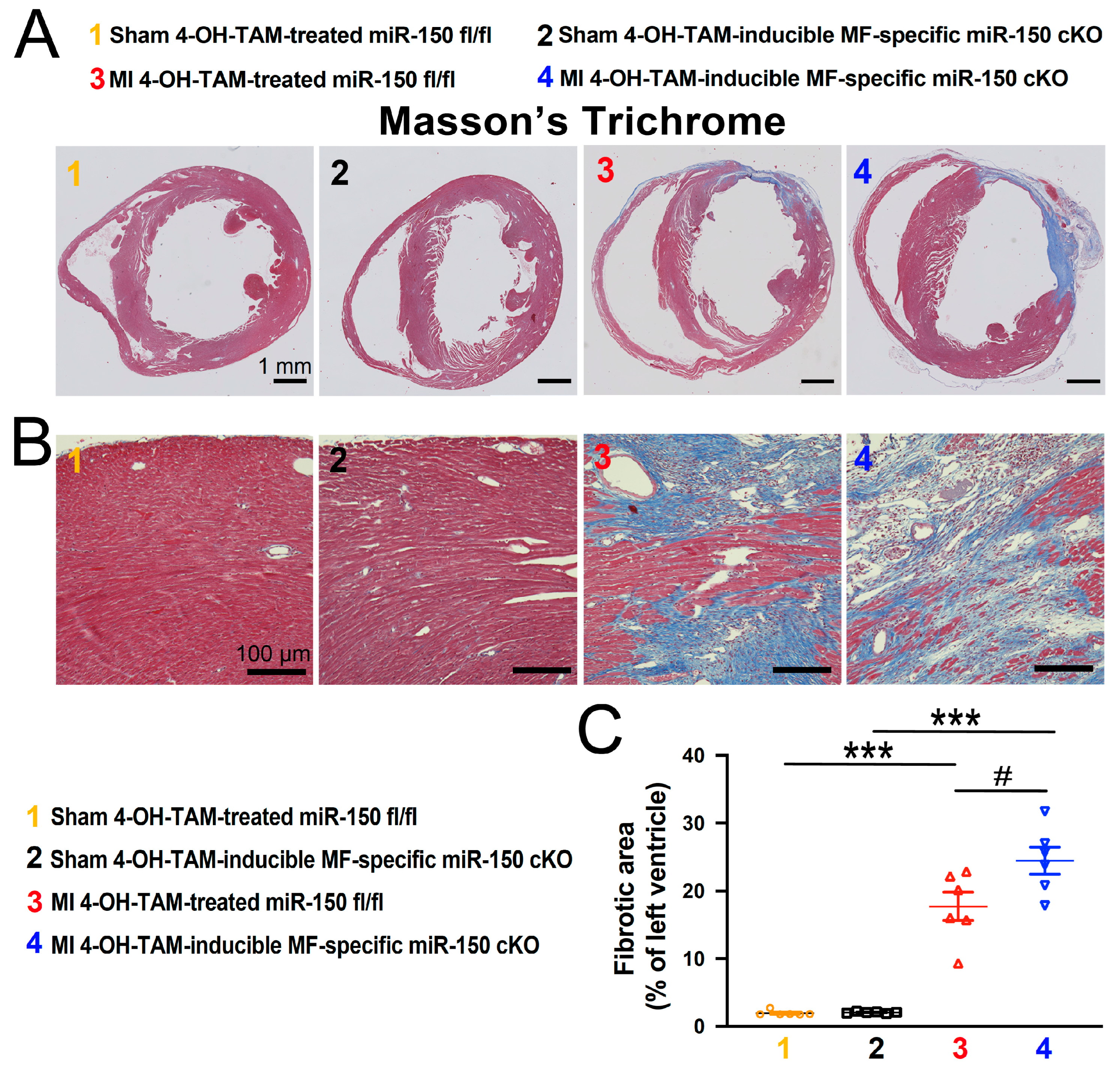 Biomolecules 14 01650 g005