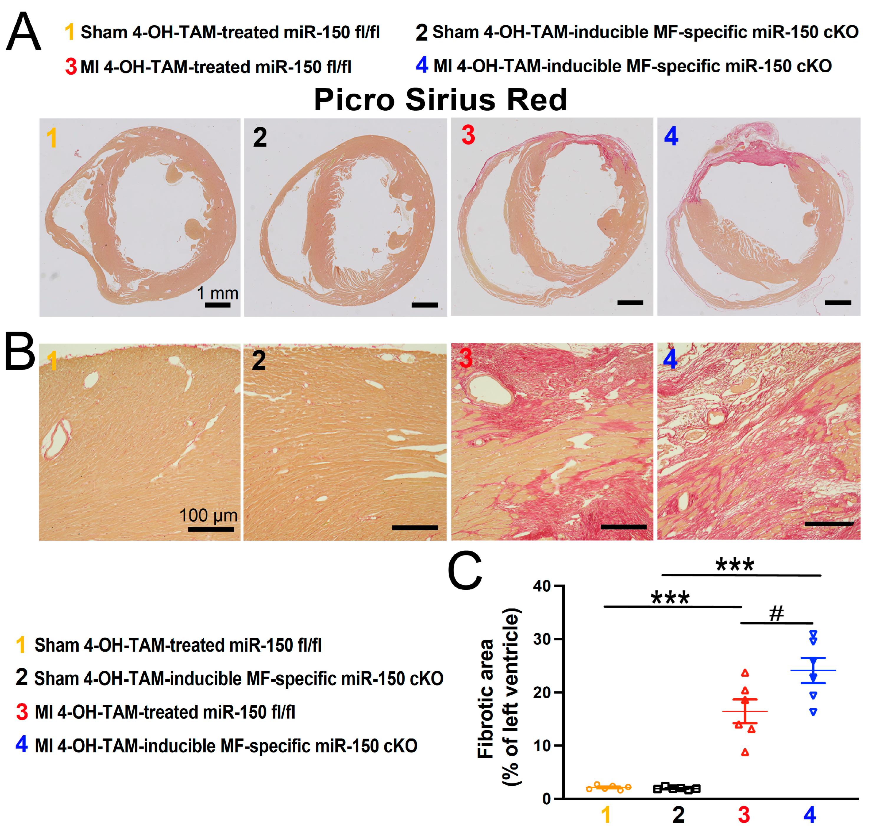 Biomolecules 14 01650 g006
