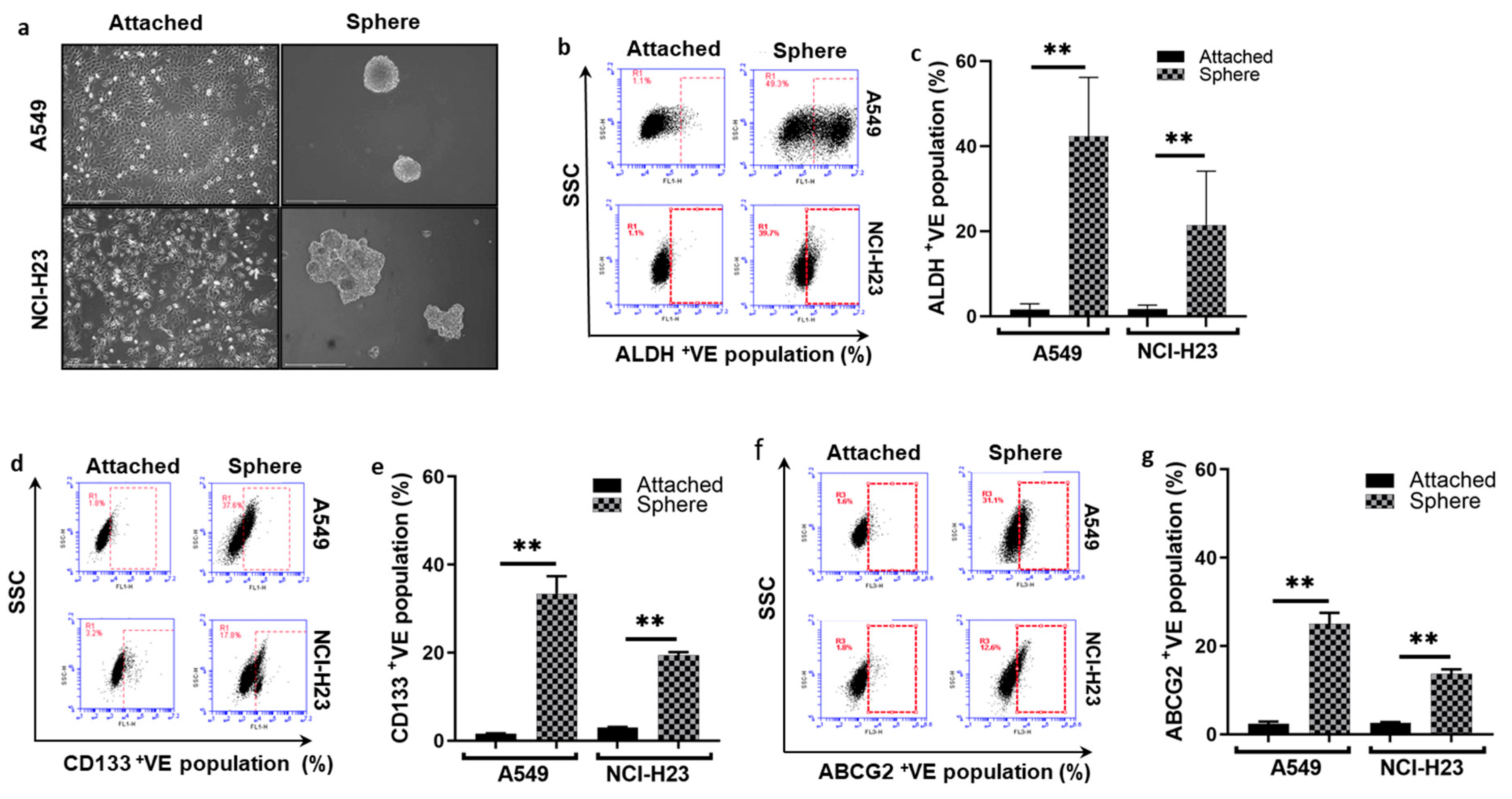 Biomolecules 14 01651 g001a