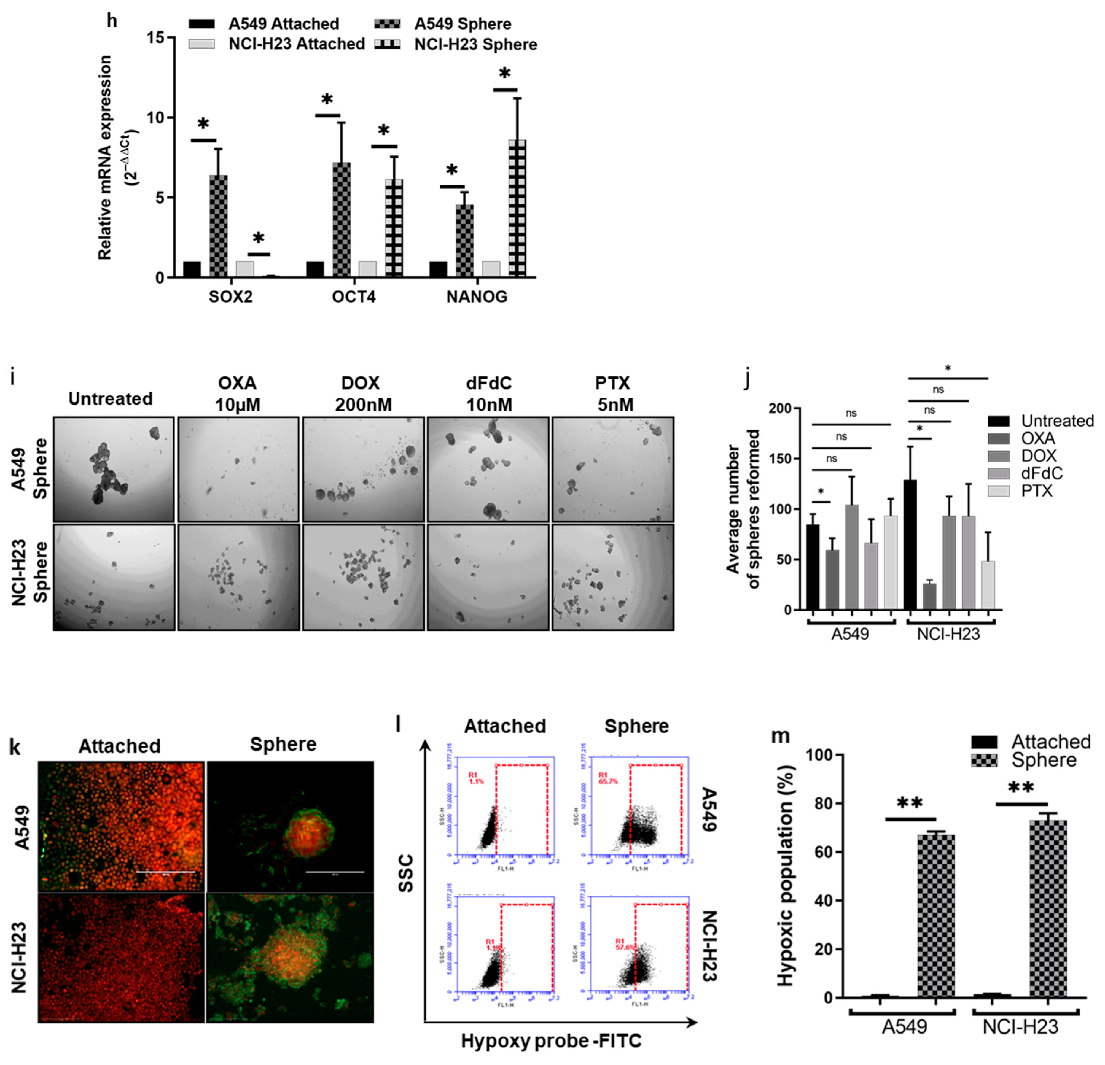Biomolecules 14 01651 g001b