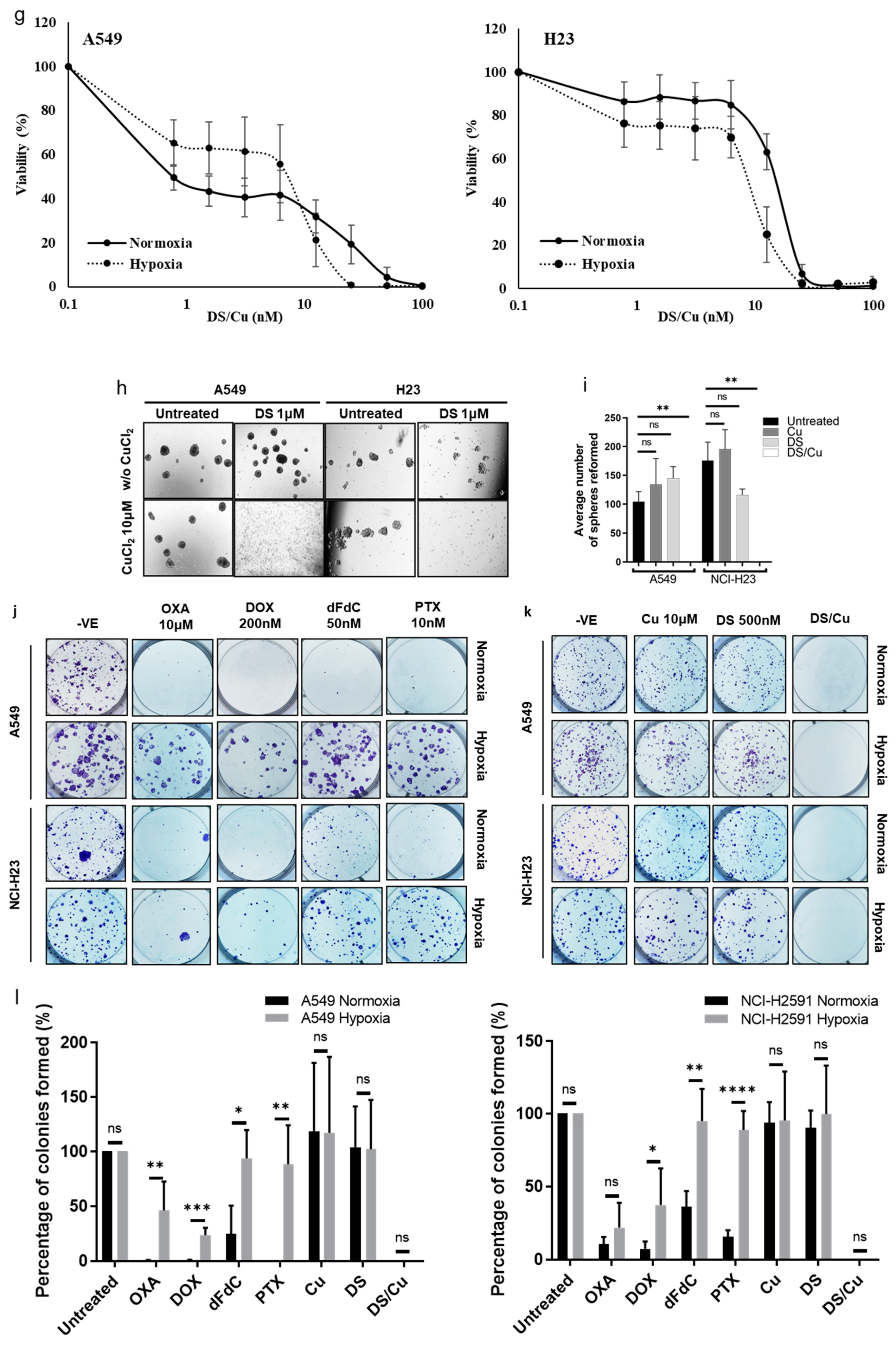 Biomolecules 14 01651 g004b