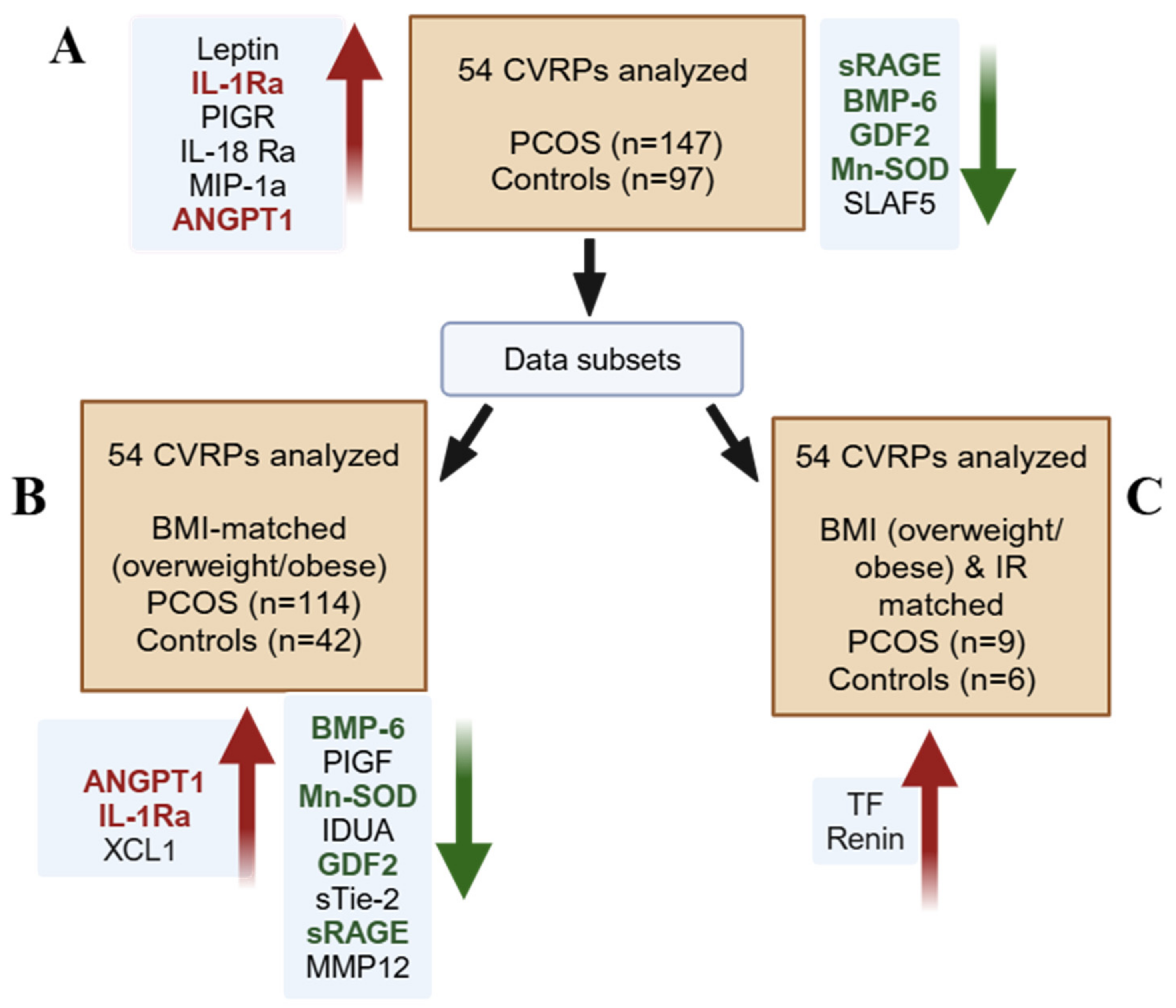 Biomolecules 15 00004 g001