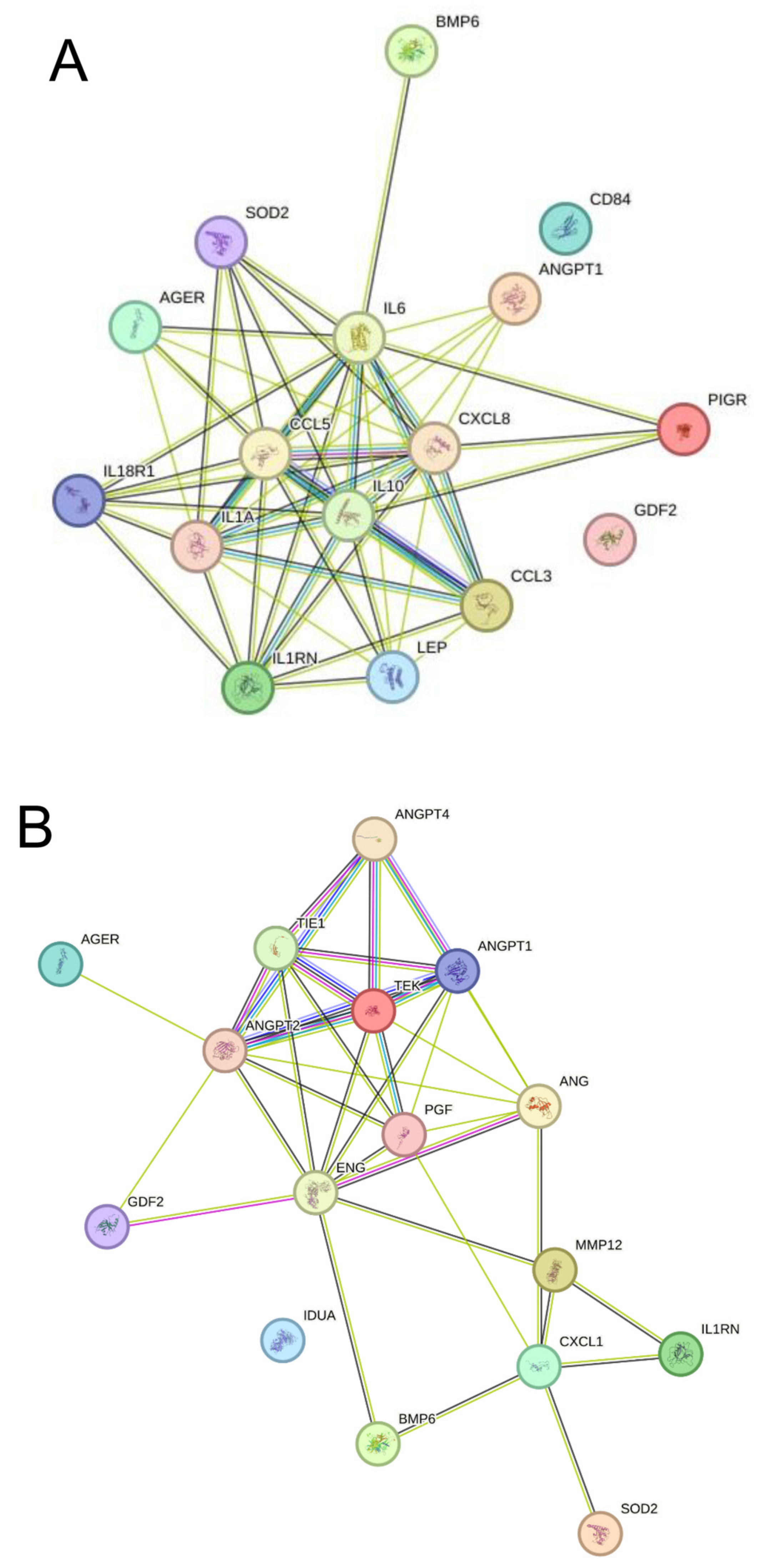 Biomolecules 15 00004 g006