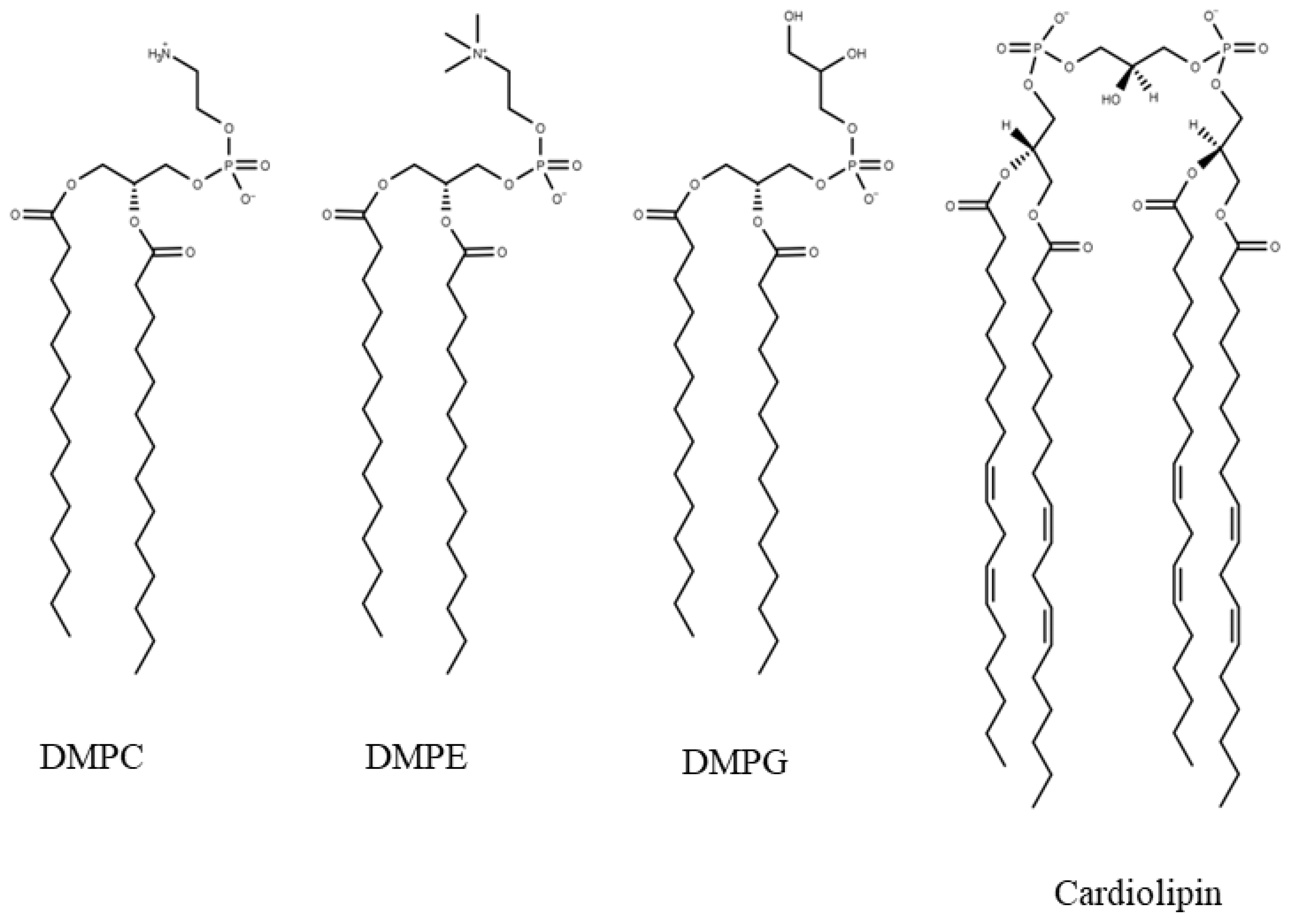 Biomolecules 15 00005 g001