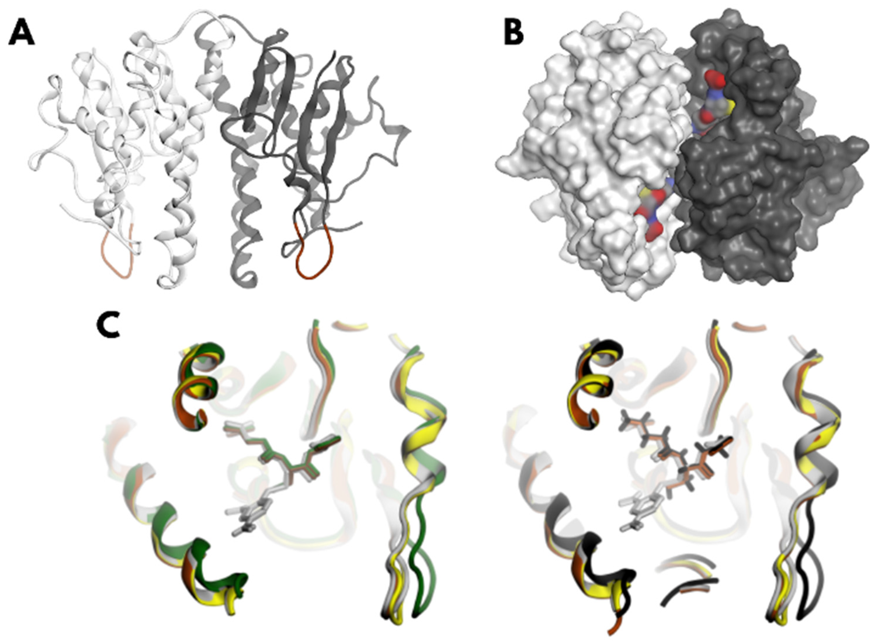Biomolecules 15 00007 g001