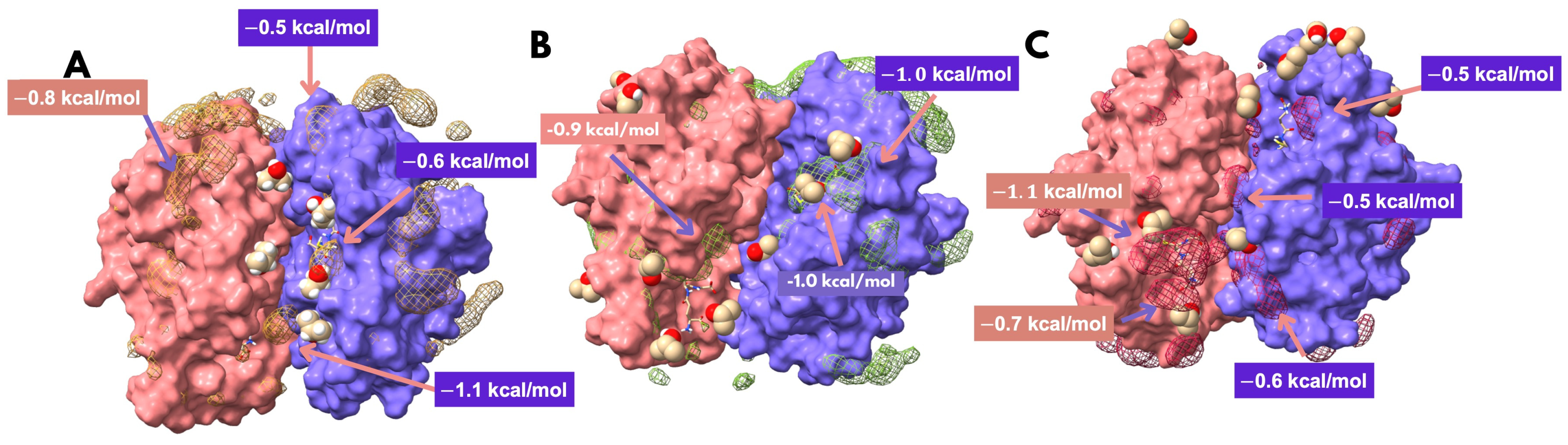 Biomolecules 15 00007 g003