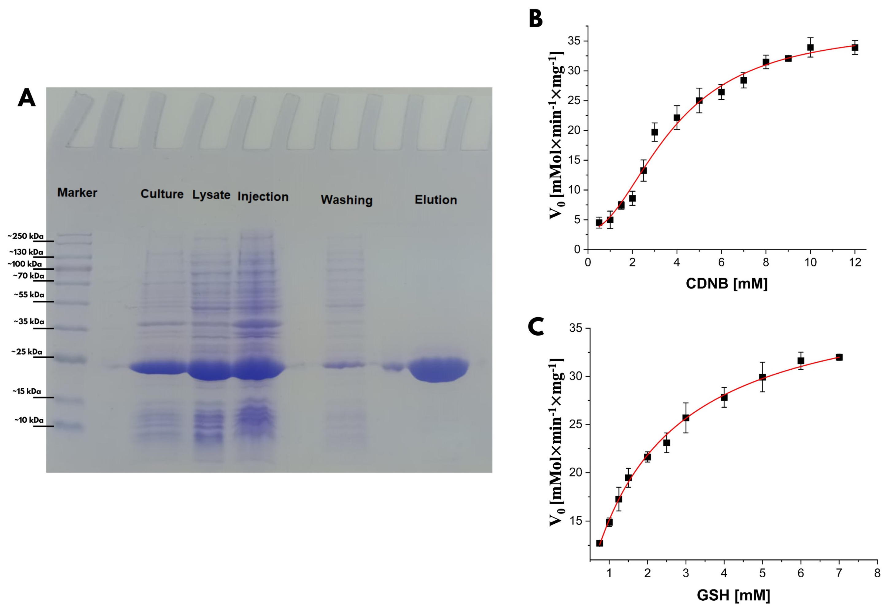 Biomolecules 15 00007 g005