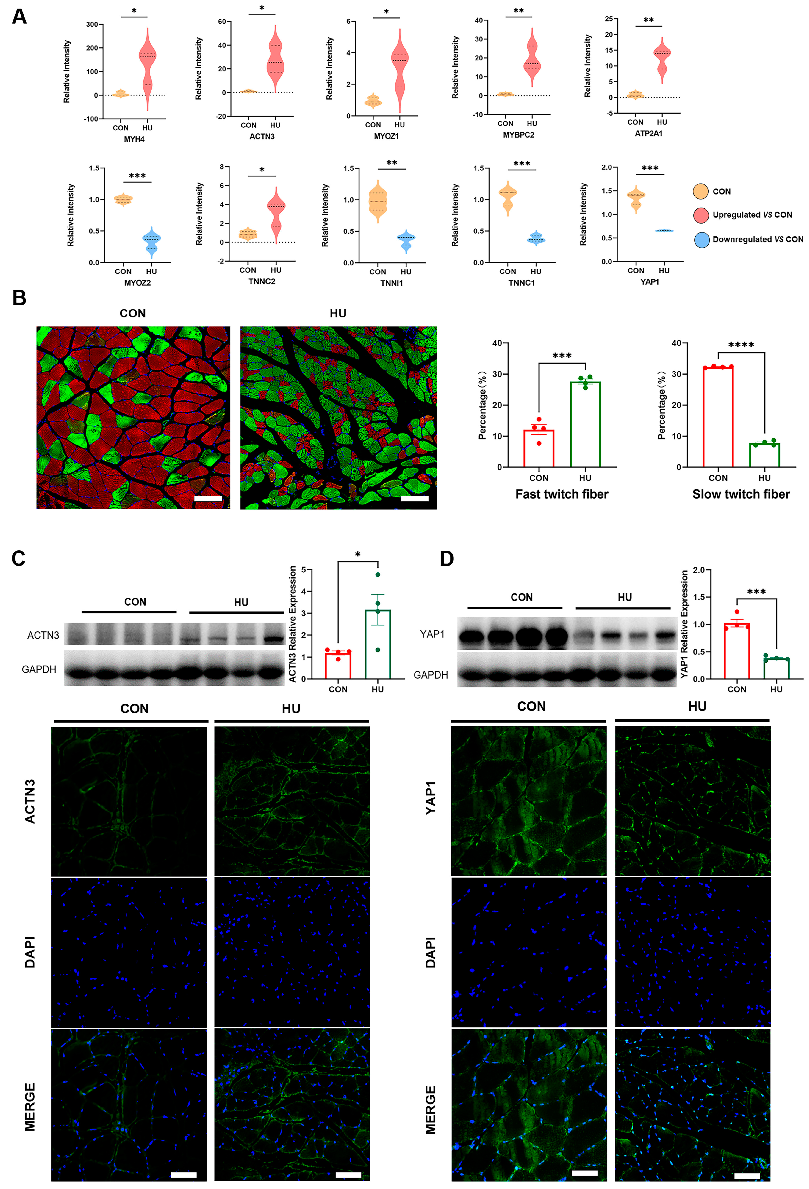 Biomolecules 15 00014 g003