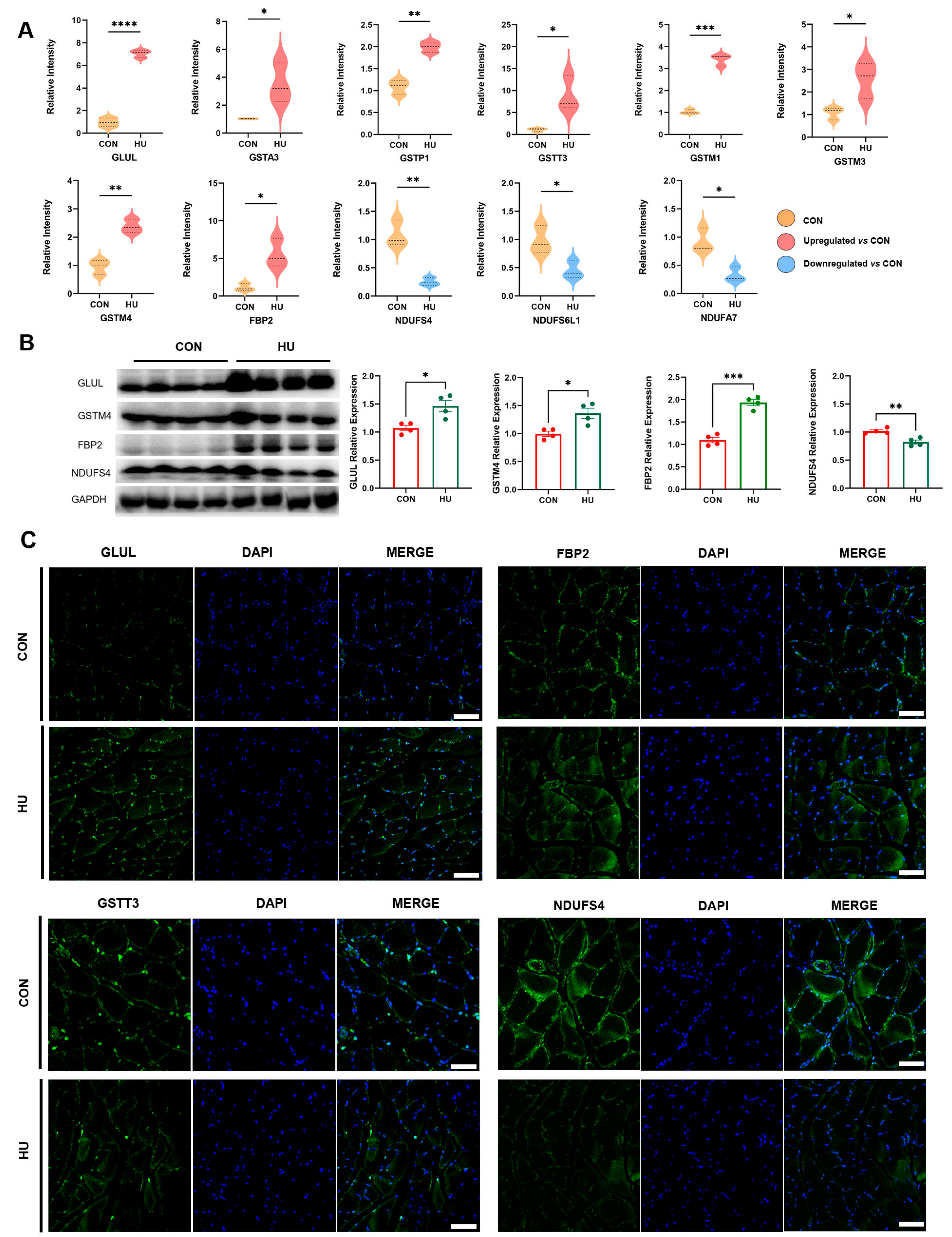 Biomolecules 15 00014 g004