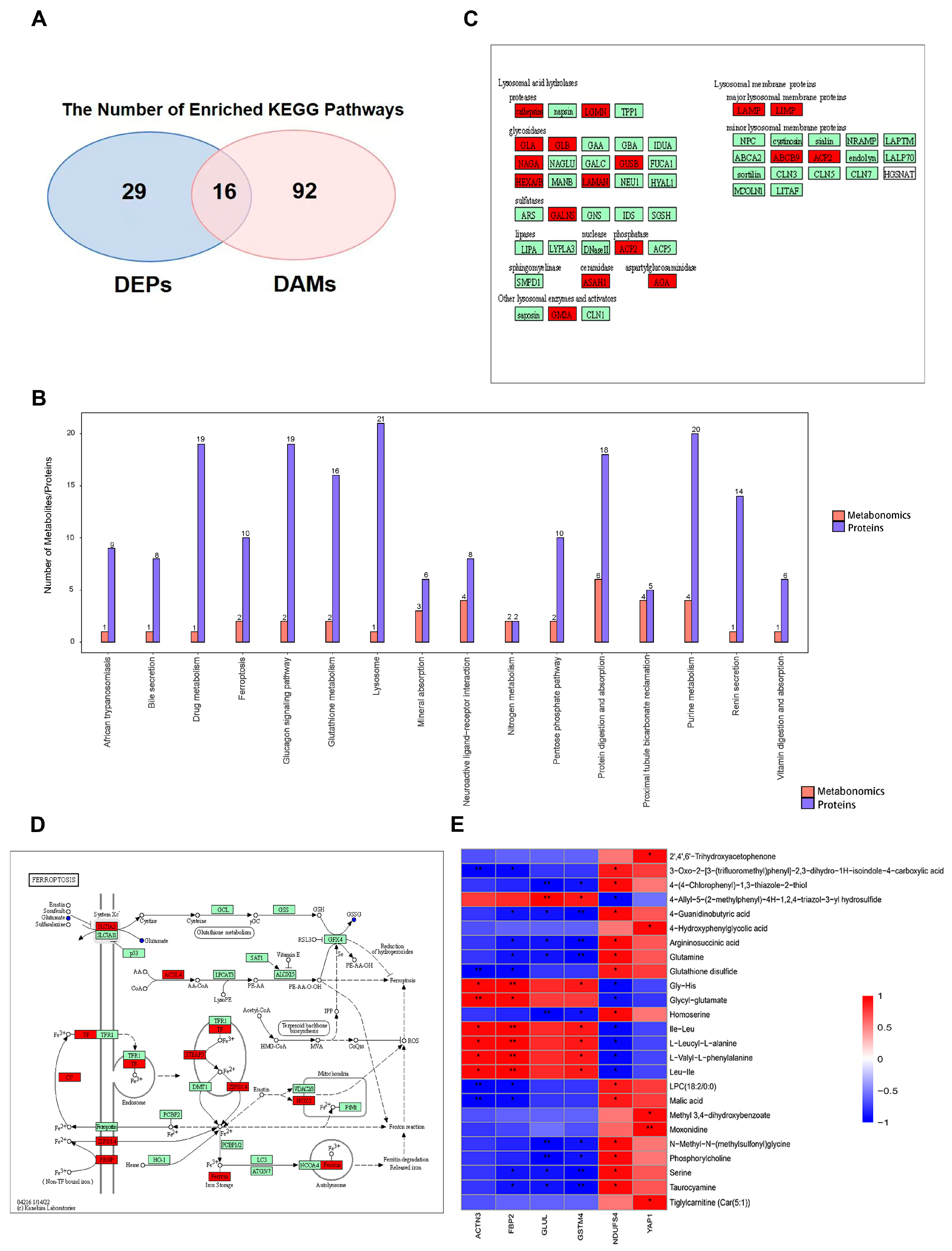 Biomolecules 15 00014 g006