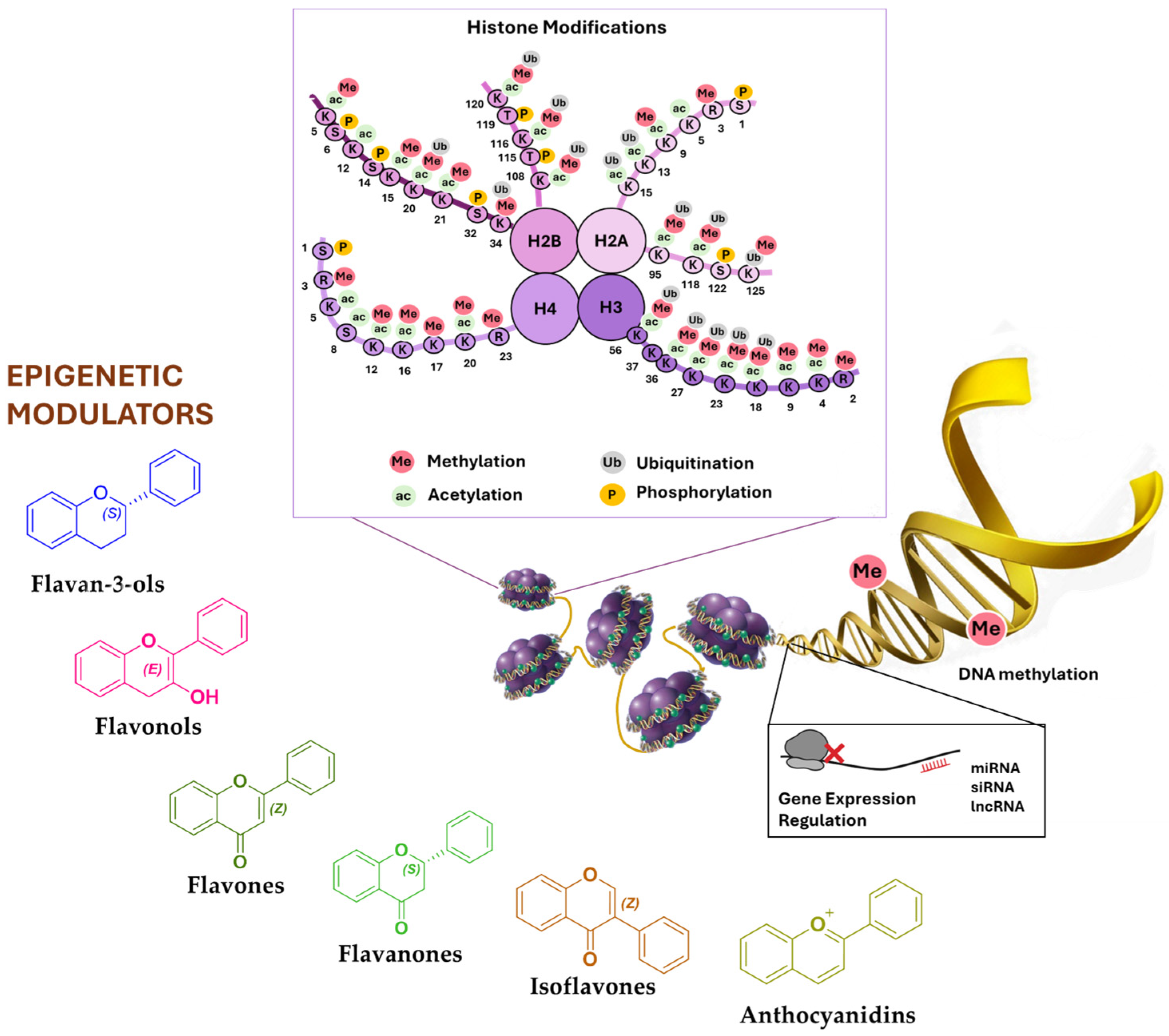 Biomolecules 15 00015 g001