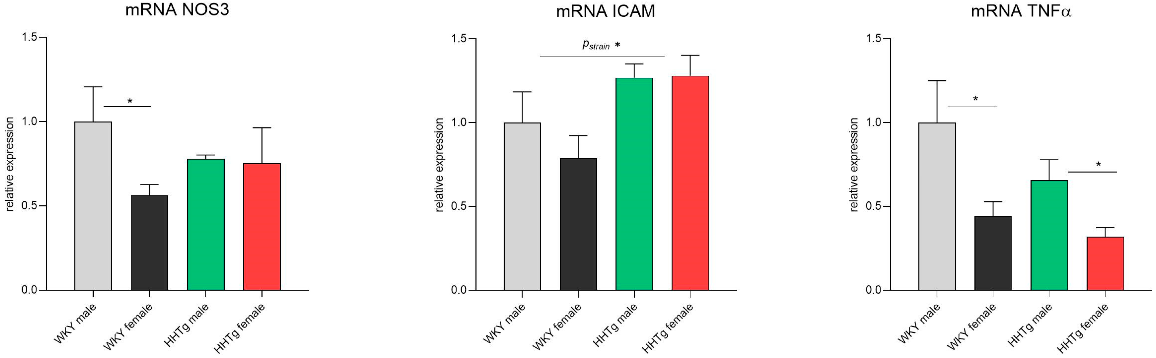 Biomolecules 15 00019 g005