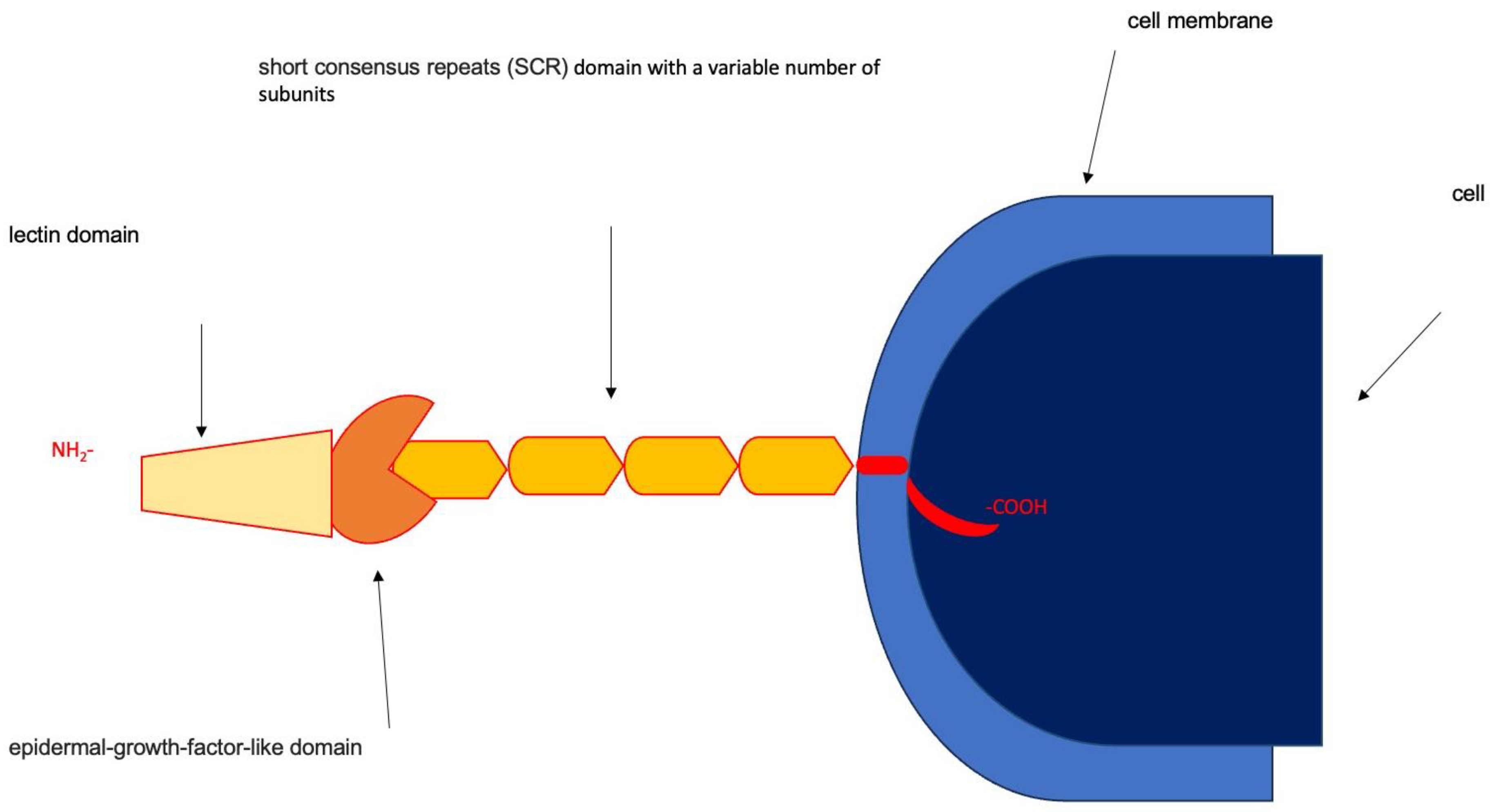 Biomolecules 15 00022 g001