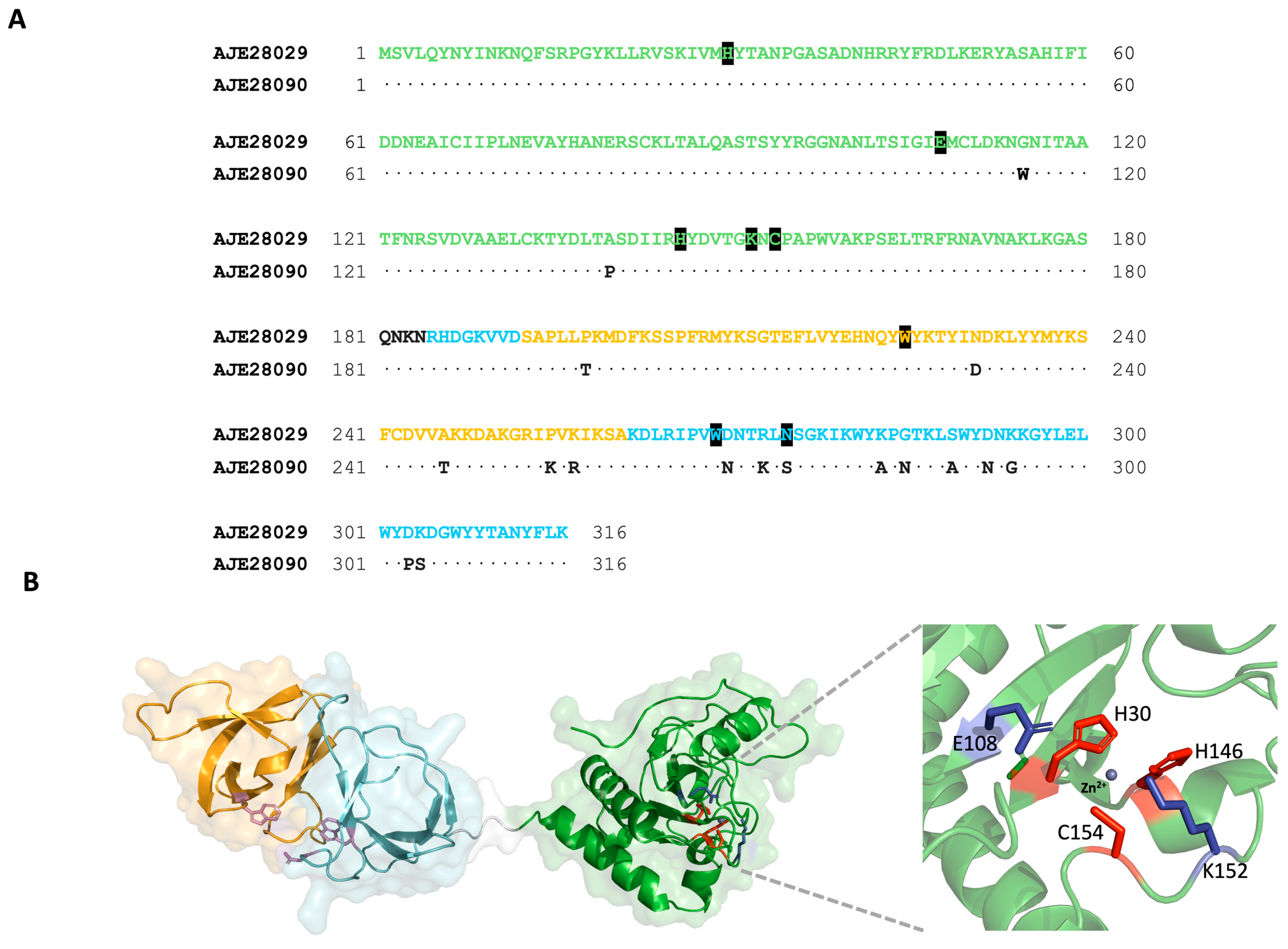 Biomolecules 15 00024 g001