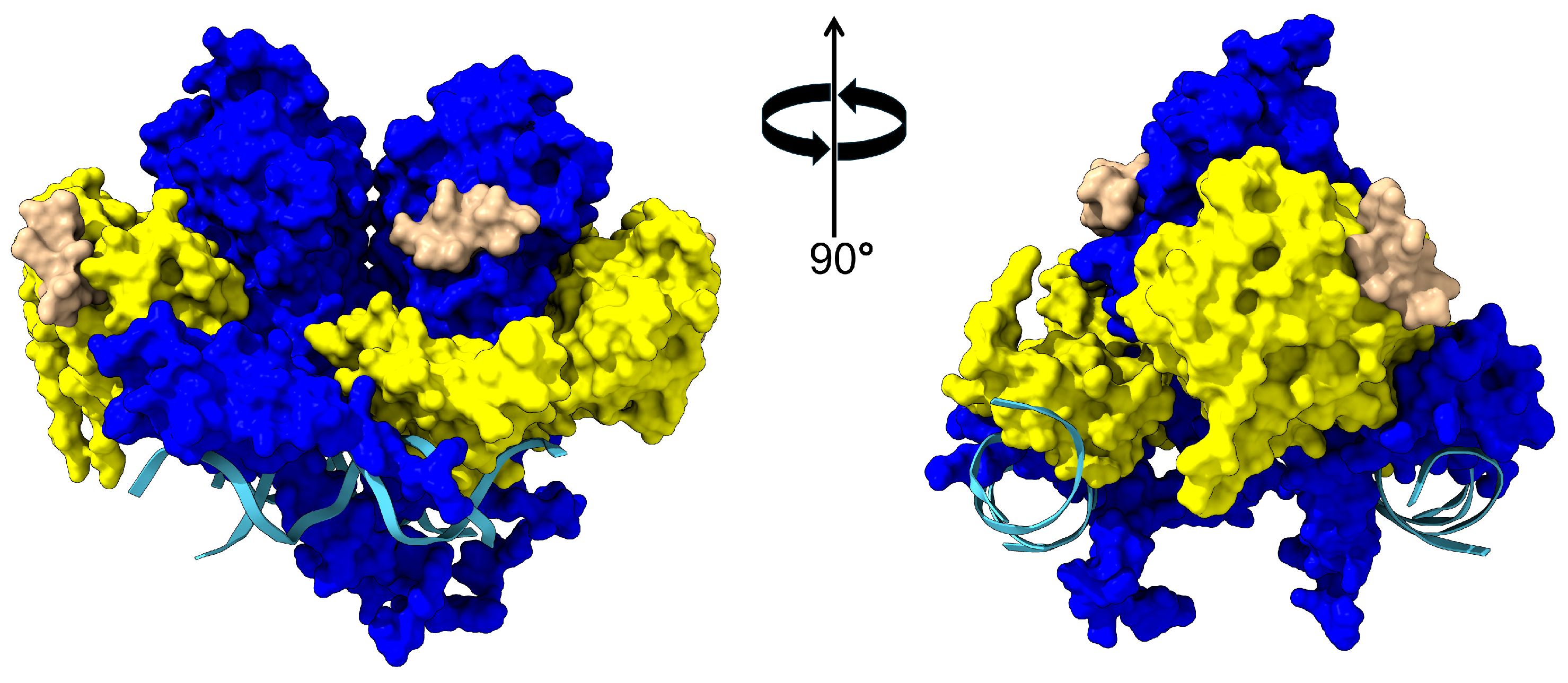 Biomolecules 15 00025 g001 Biomolecules 15 00025 g001