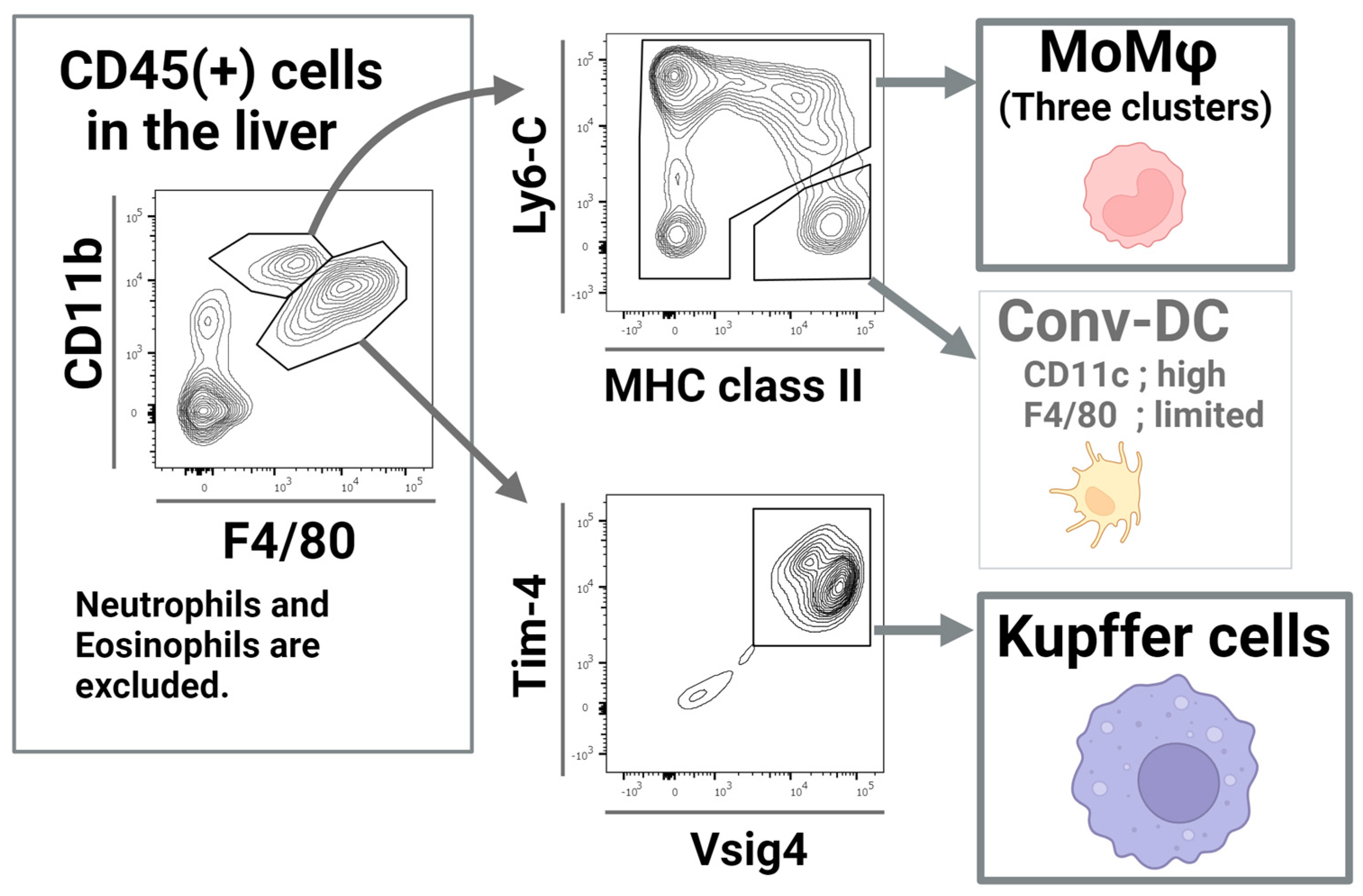 Biomolecules 15 00025 g002 Biomolecules 15 00025 g002
