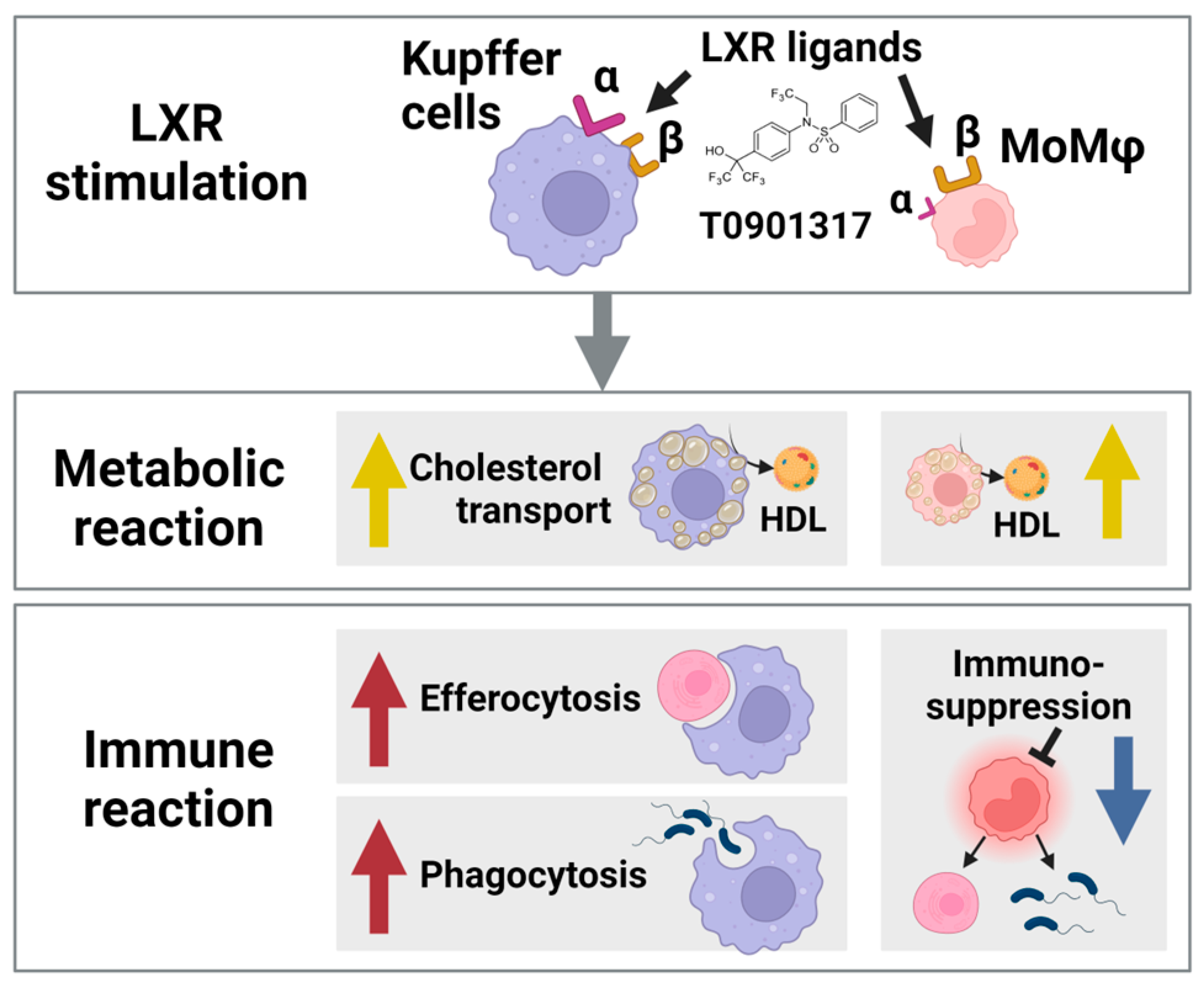 Biomolecules 15 00025 g003 Biomolecules 15 00025 g003