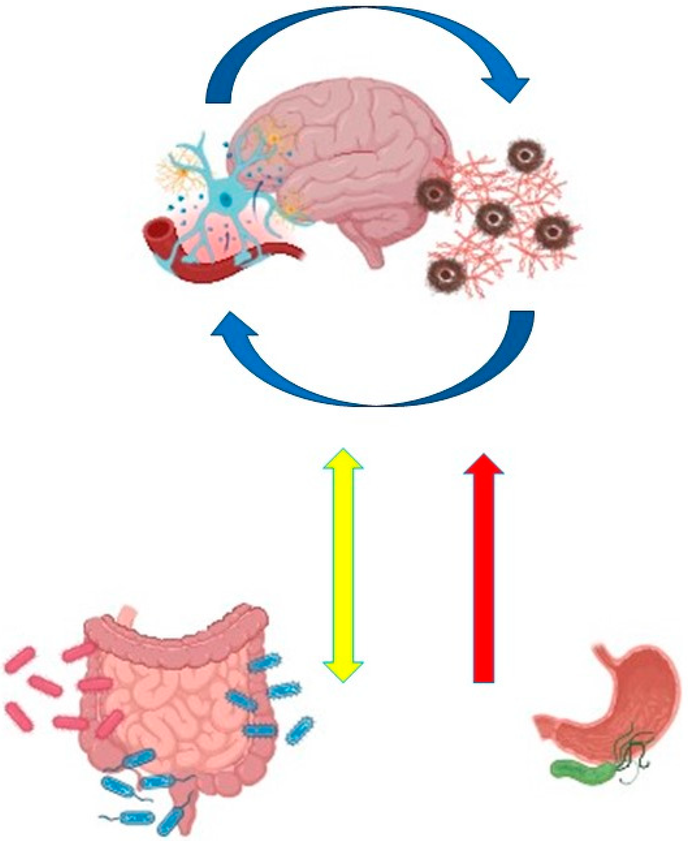 Biomolecules 15 00026 g001 Biomolecules 15 00026 g001