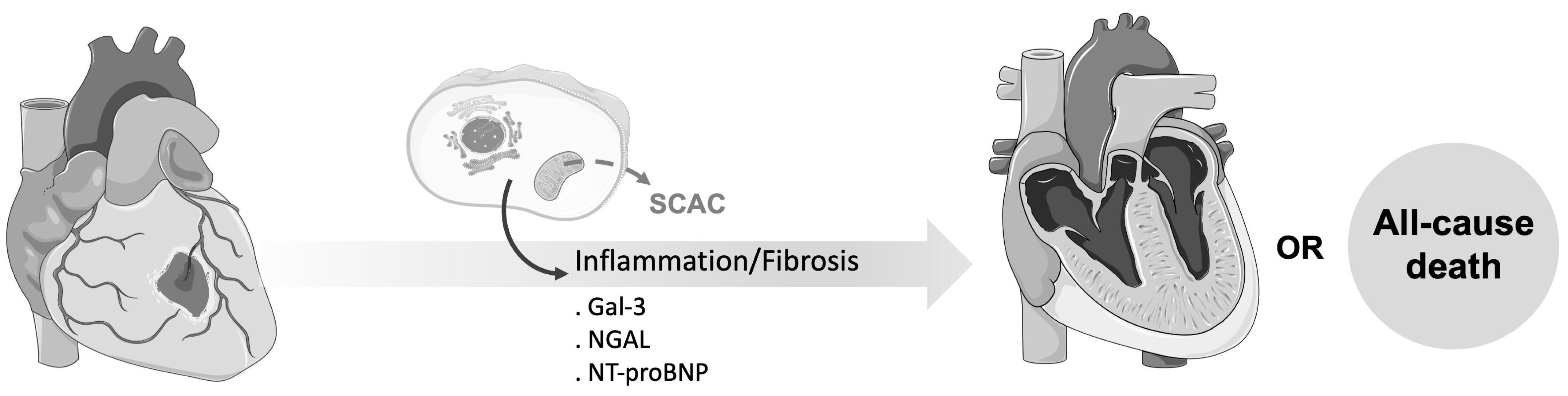 Biomolecules 15 00027 g004