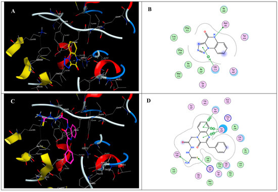 Targeting Invasion: The Role of MMP-2 and MMP-9 Inhibition