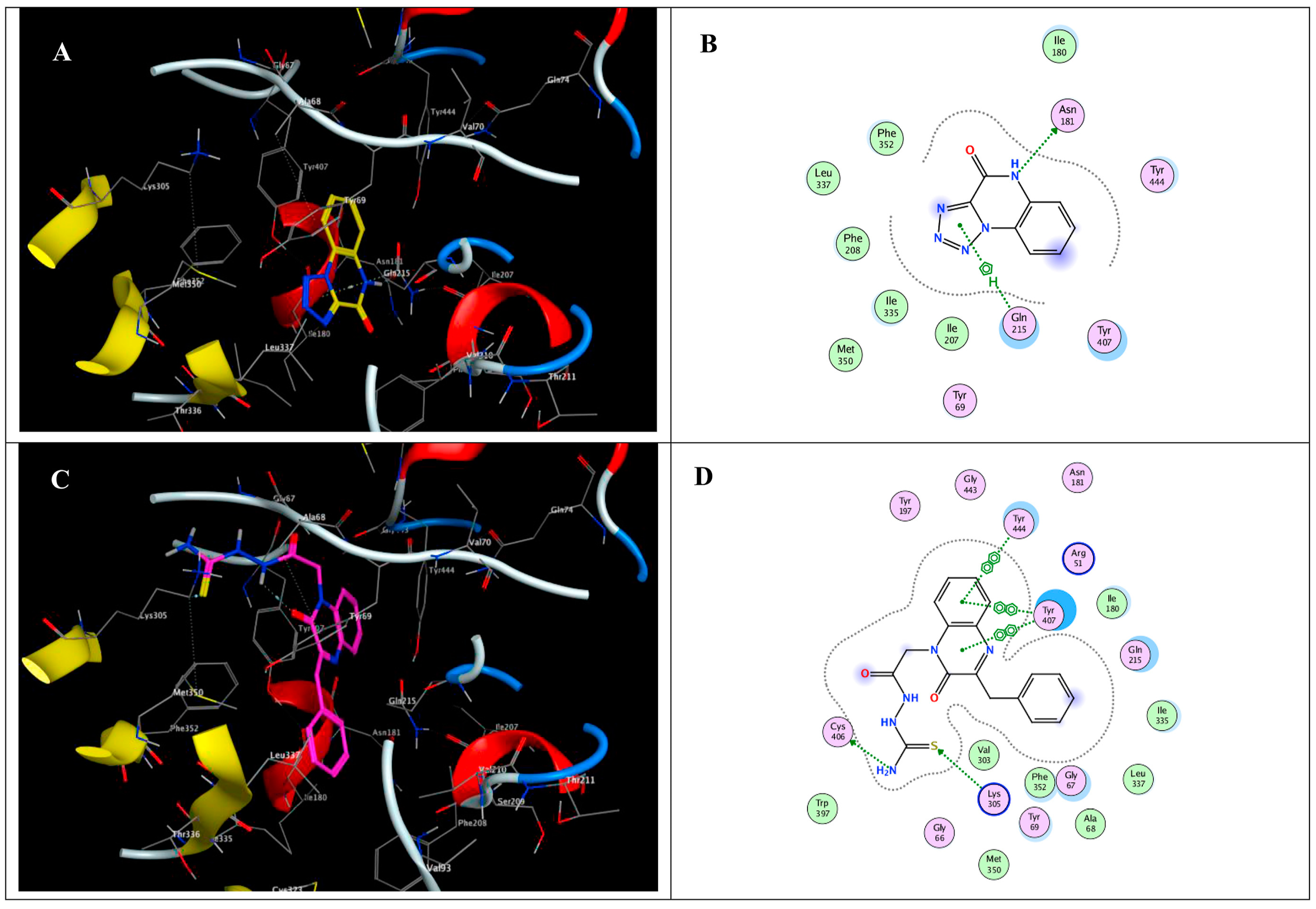 ベストセラー of Role The Invasion: Targeting MMP-2 Inhibition MMP-9 and クリアファイル