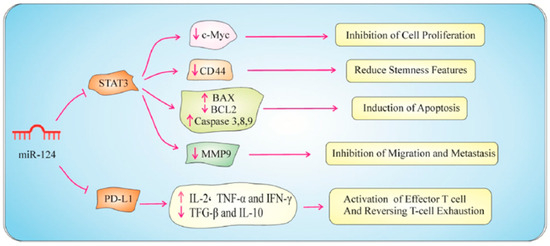 Targeting Invasion: The Role of MMP-2 and MMP-9 Inhibition