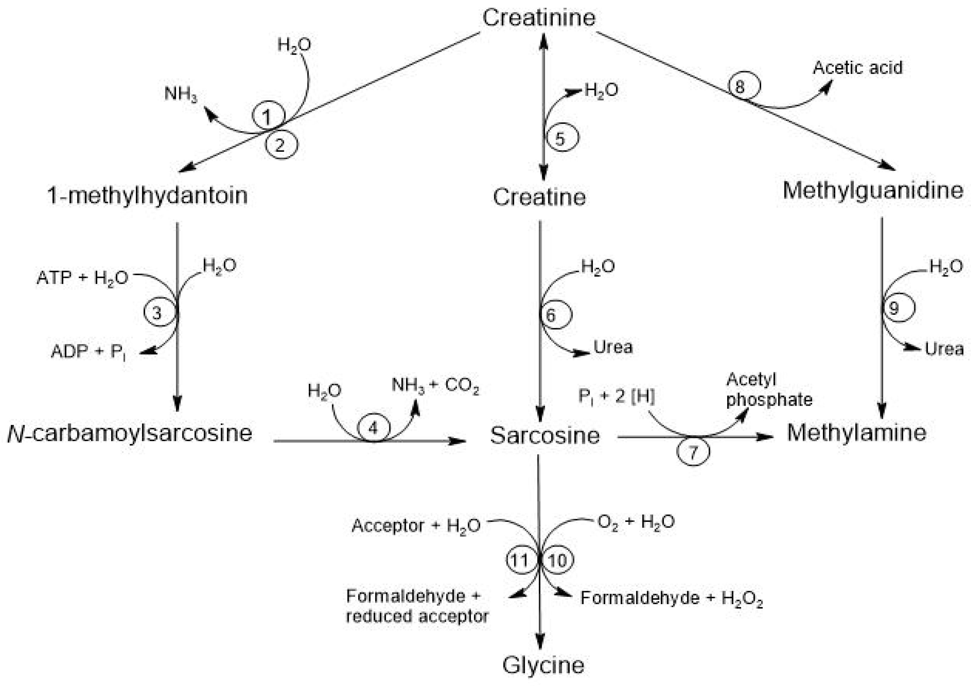 Biomolecules 15 00041 g005 Biomolecules 15 00041 g005