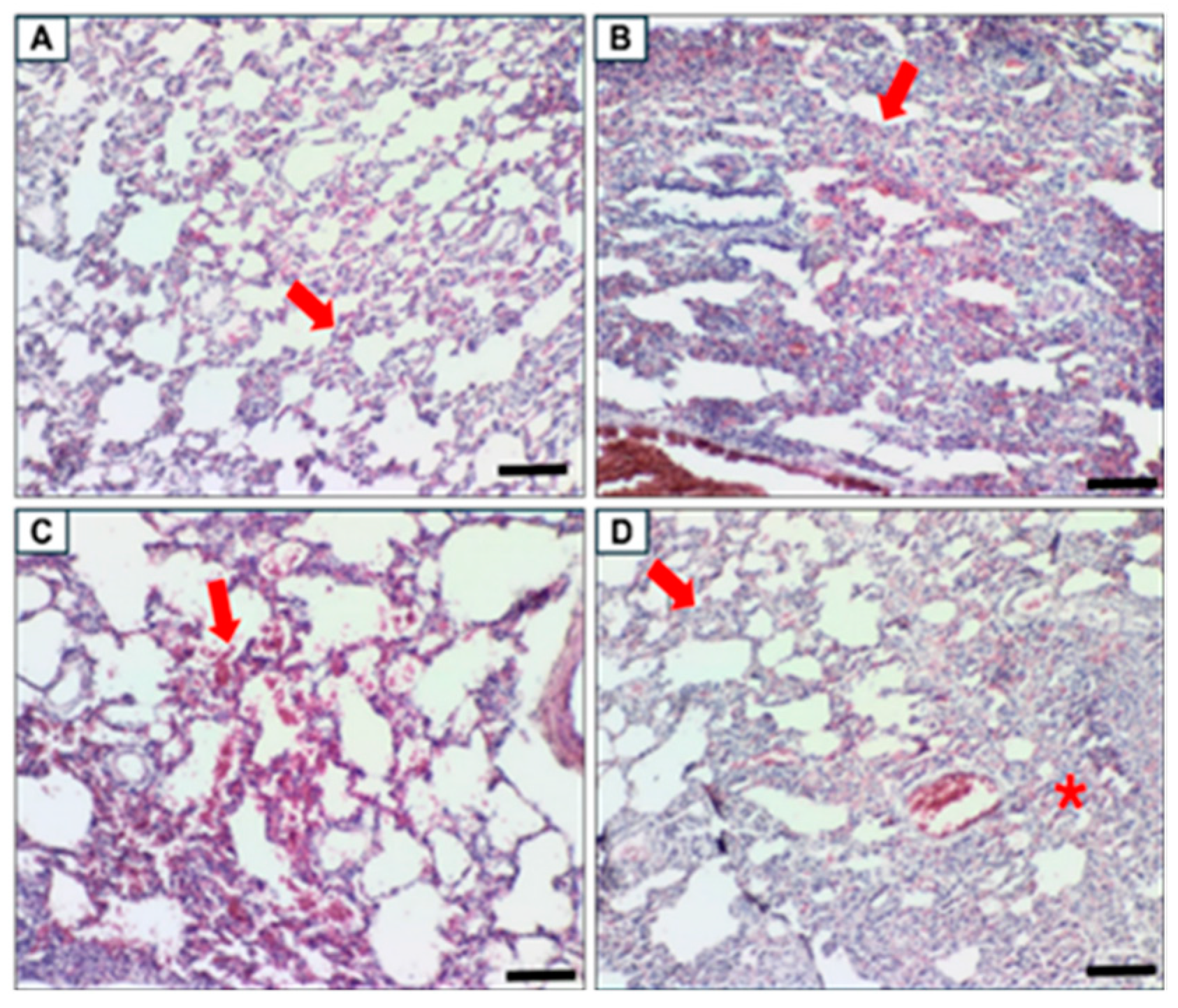 Biomolecules 15 00044 g012 Biomolecules 15 00044 g012