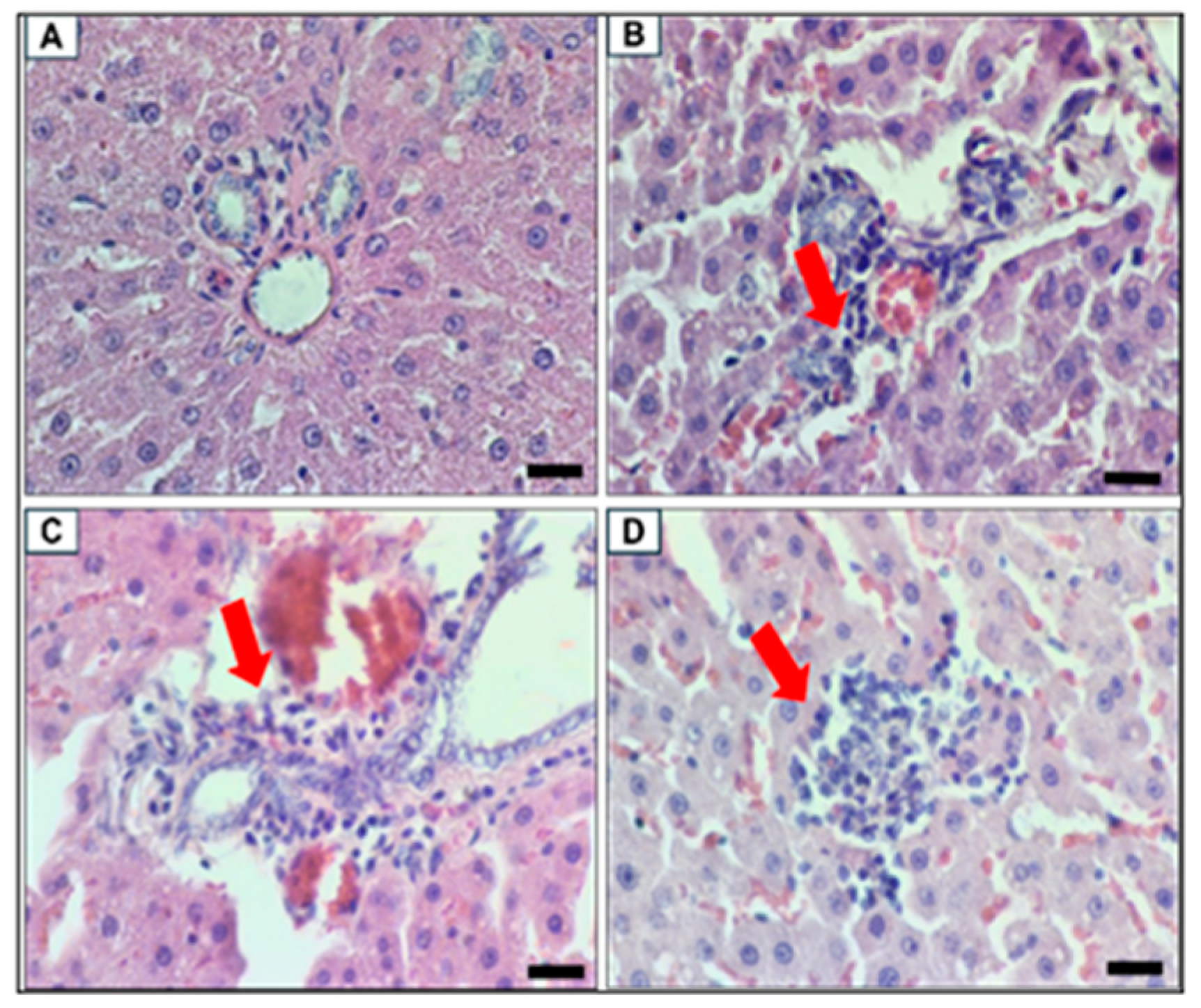 Biomolecules 15 00044 g013 Biomolecules 15 00044 g013