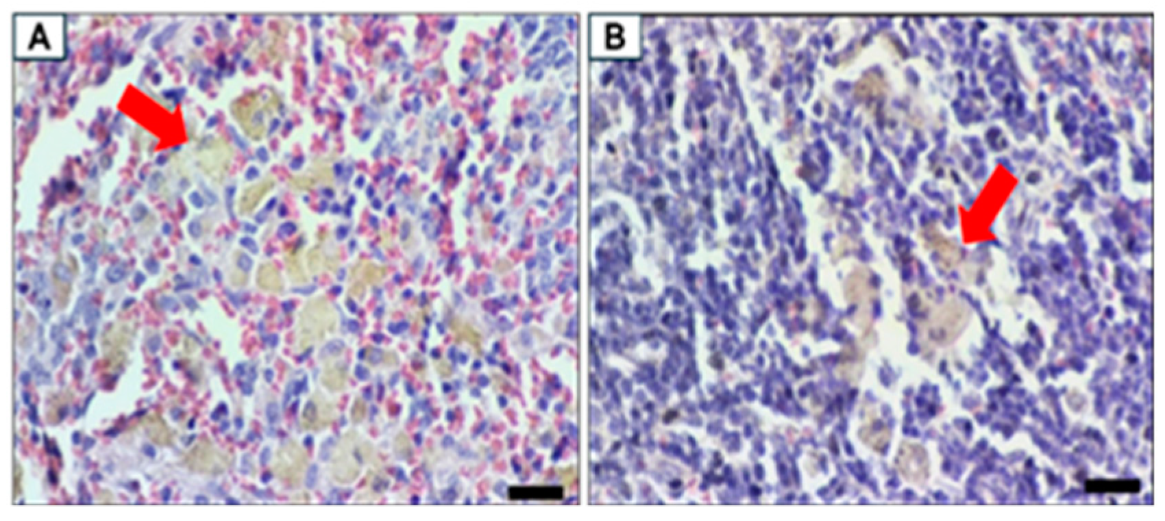 Biomolecules 15 00044 g014 Biomolecules 15 00044 g014