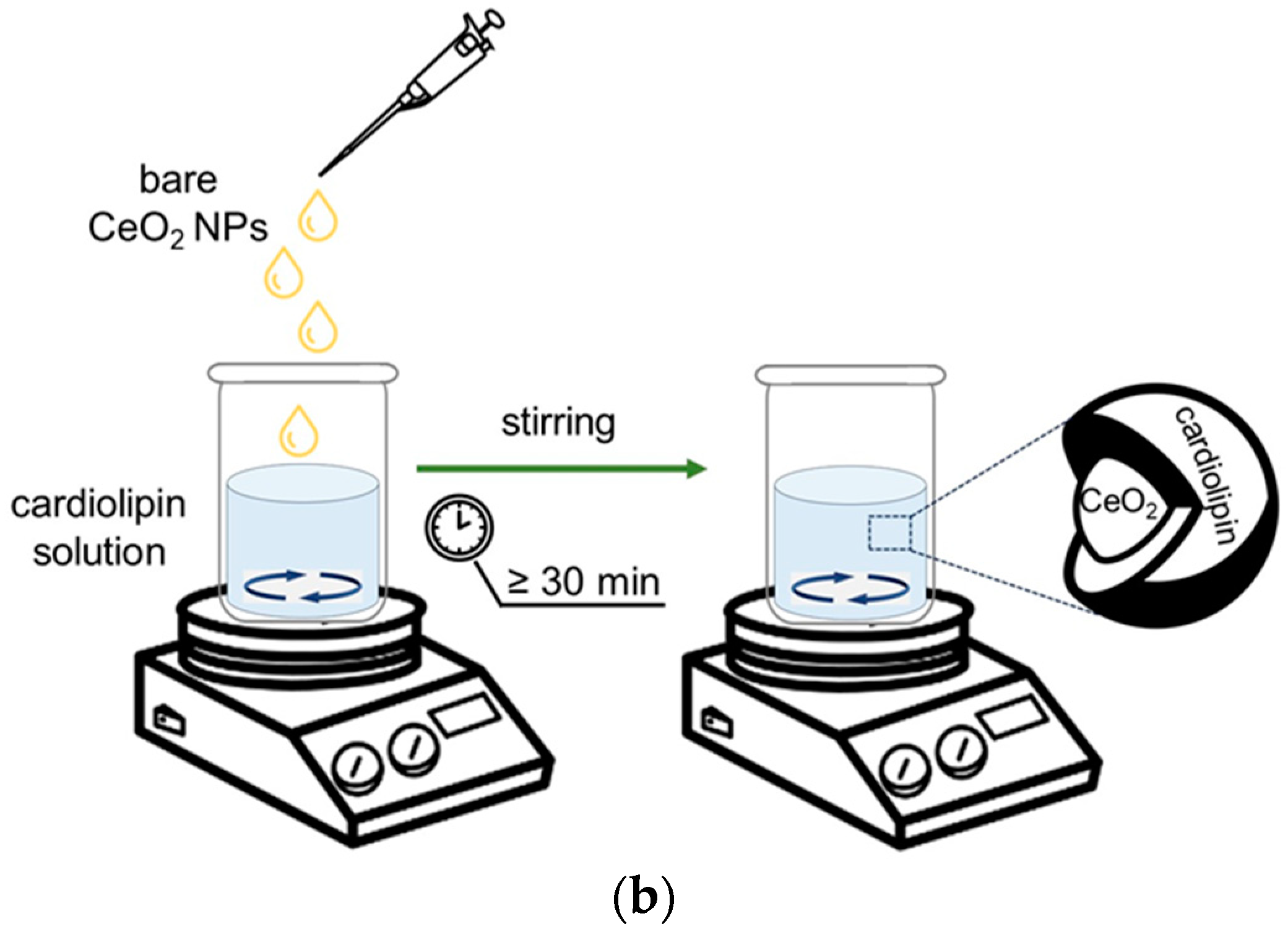 Biomolecules 15 00053 g001b Biomolecules 15 00053 g001b