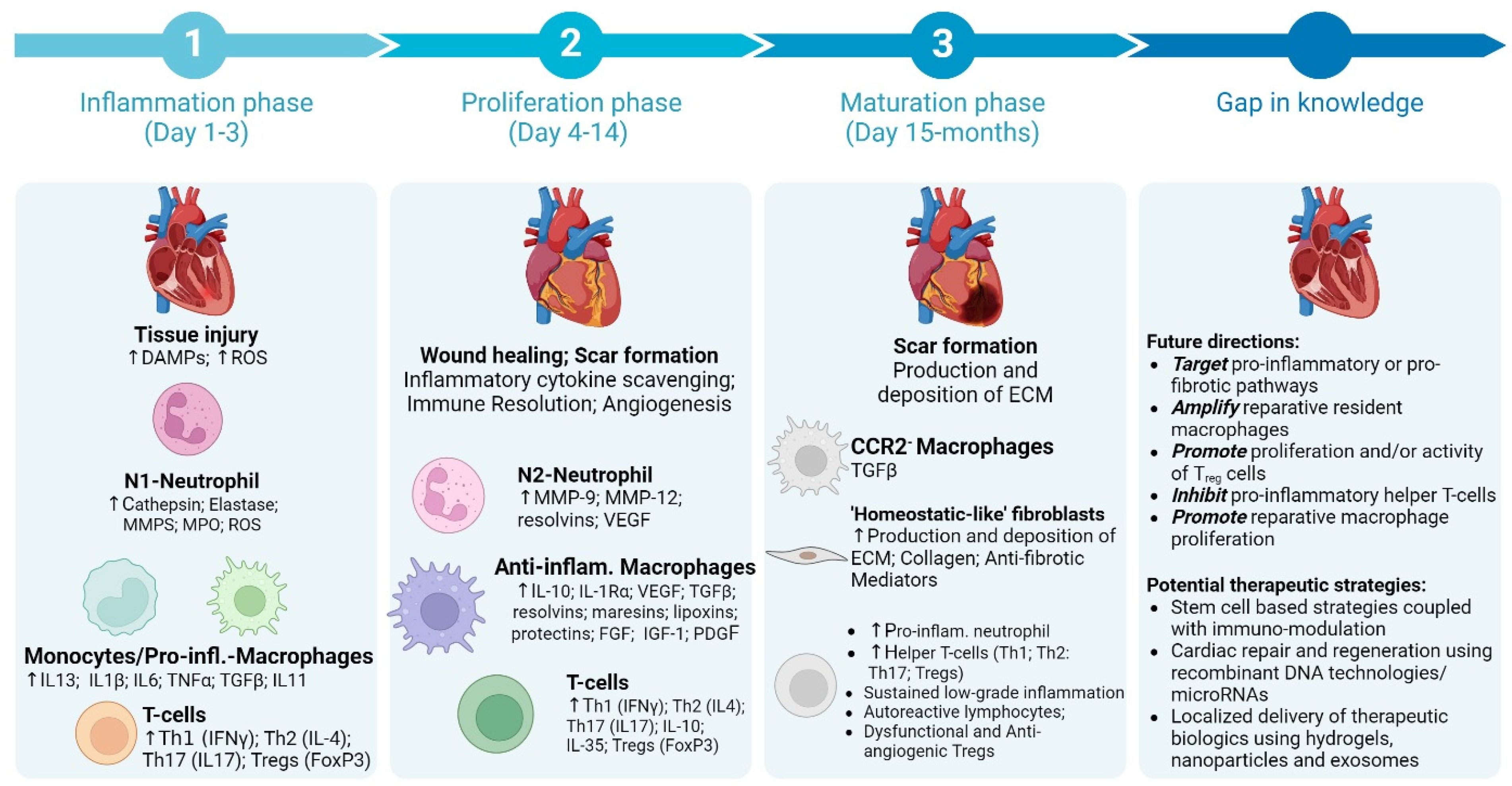 Biomolecules 15 00058 g001