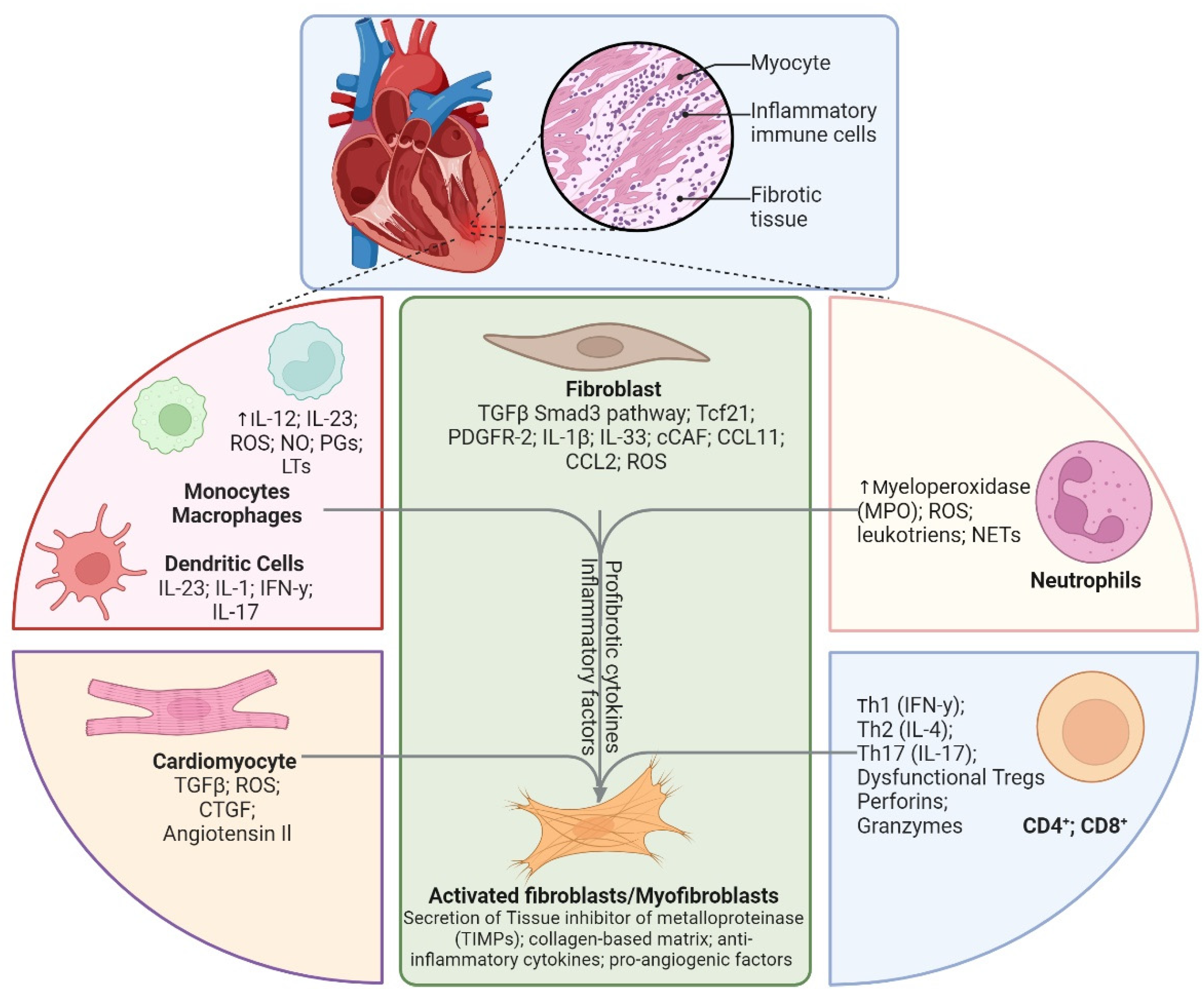 Biomolecules 15 00058 g002
