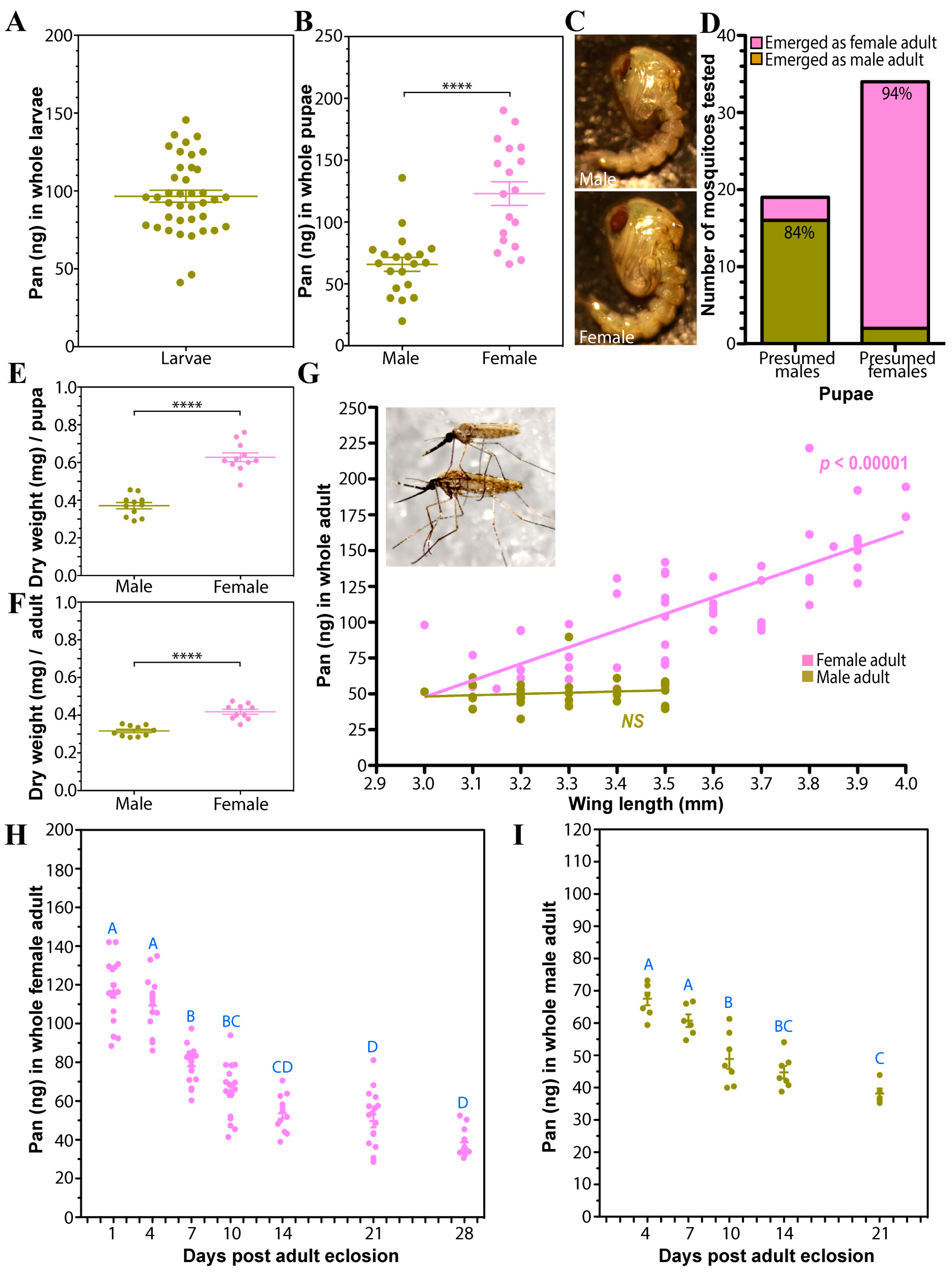 Biomolecules 15 00059 g001