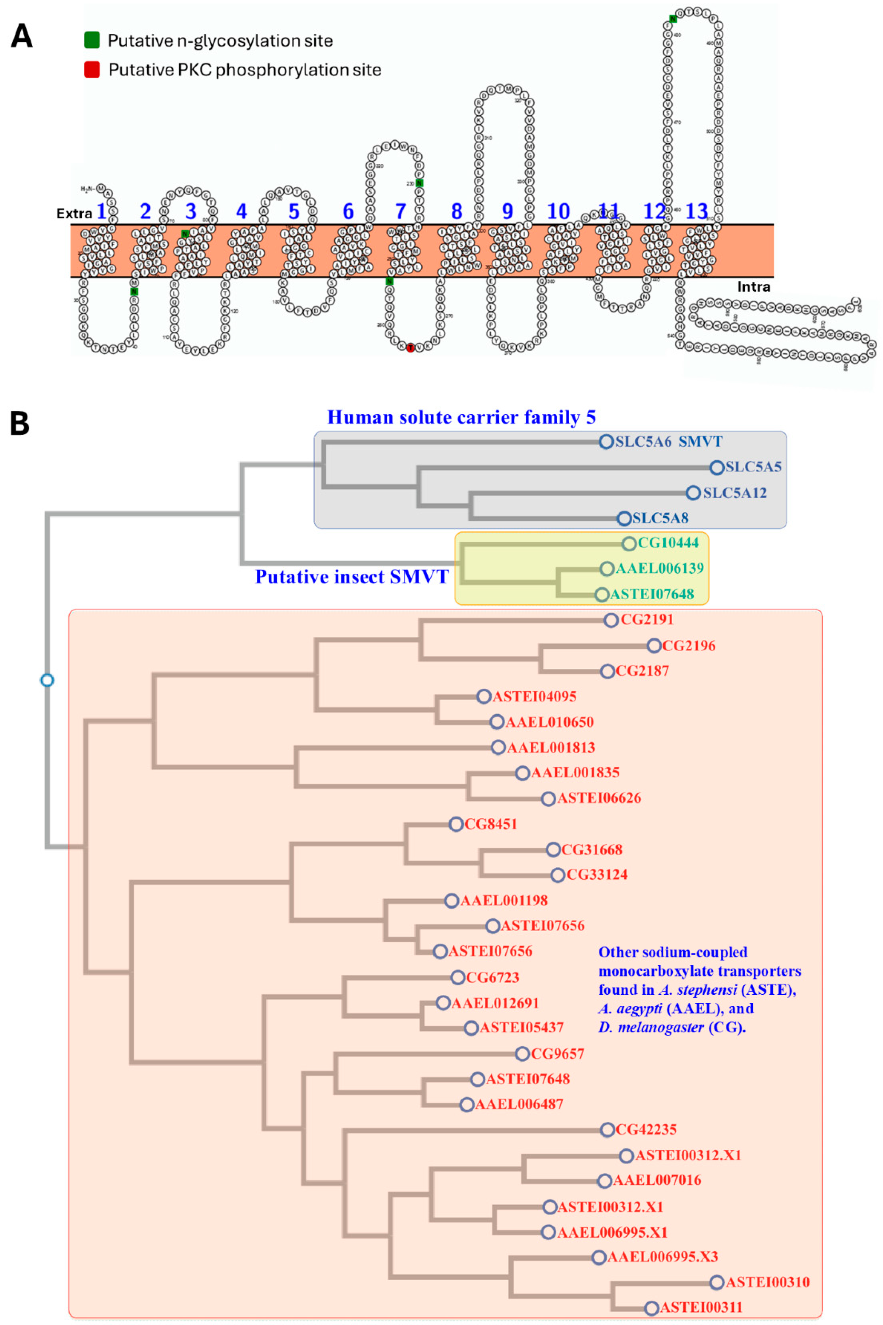 Biomolecules 15 00059 g005