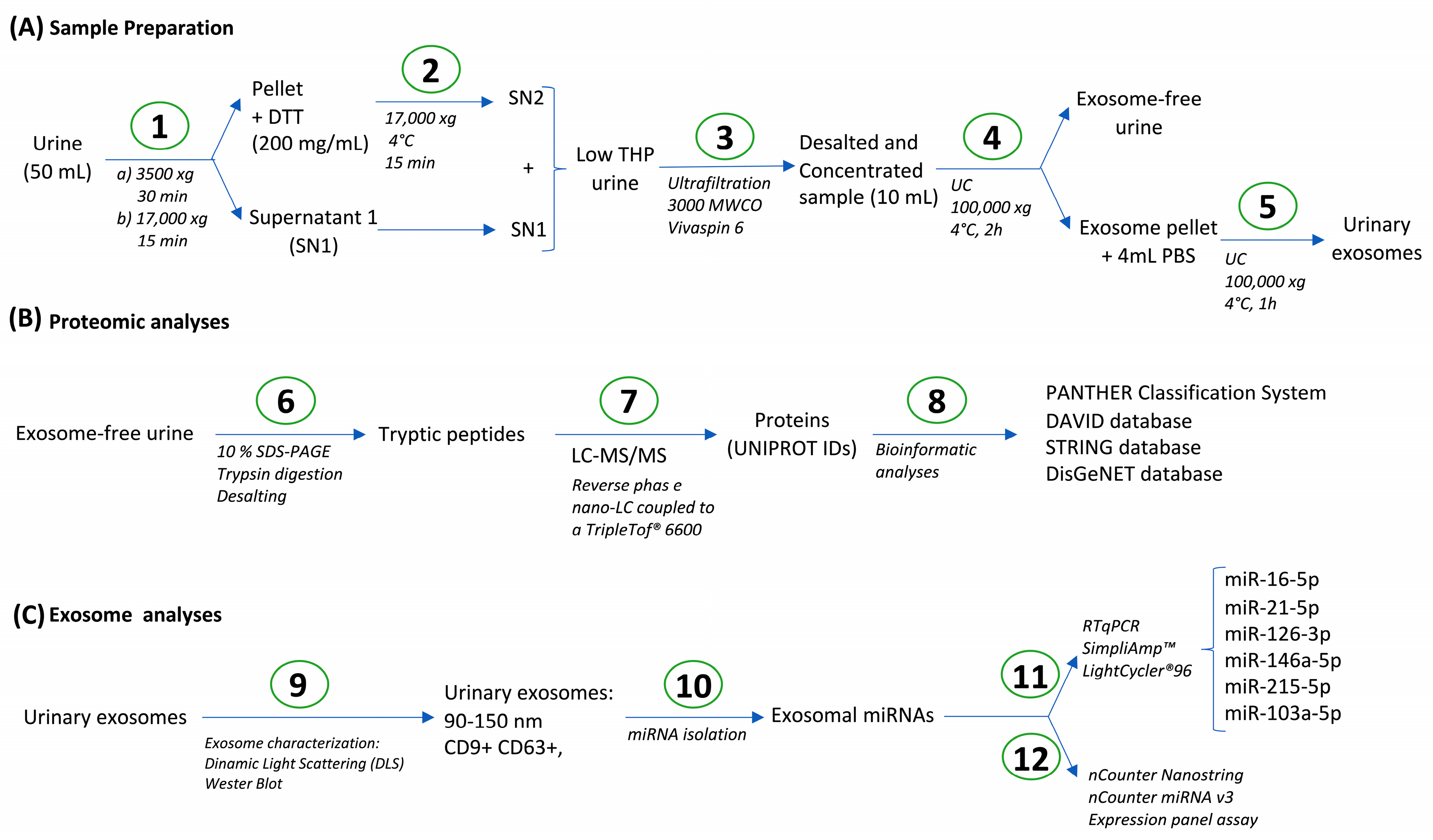 Biomolecules 15 00060 g001 Biomolecules 15 00060 g001