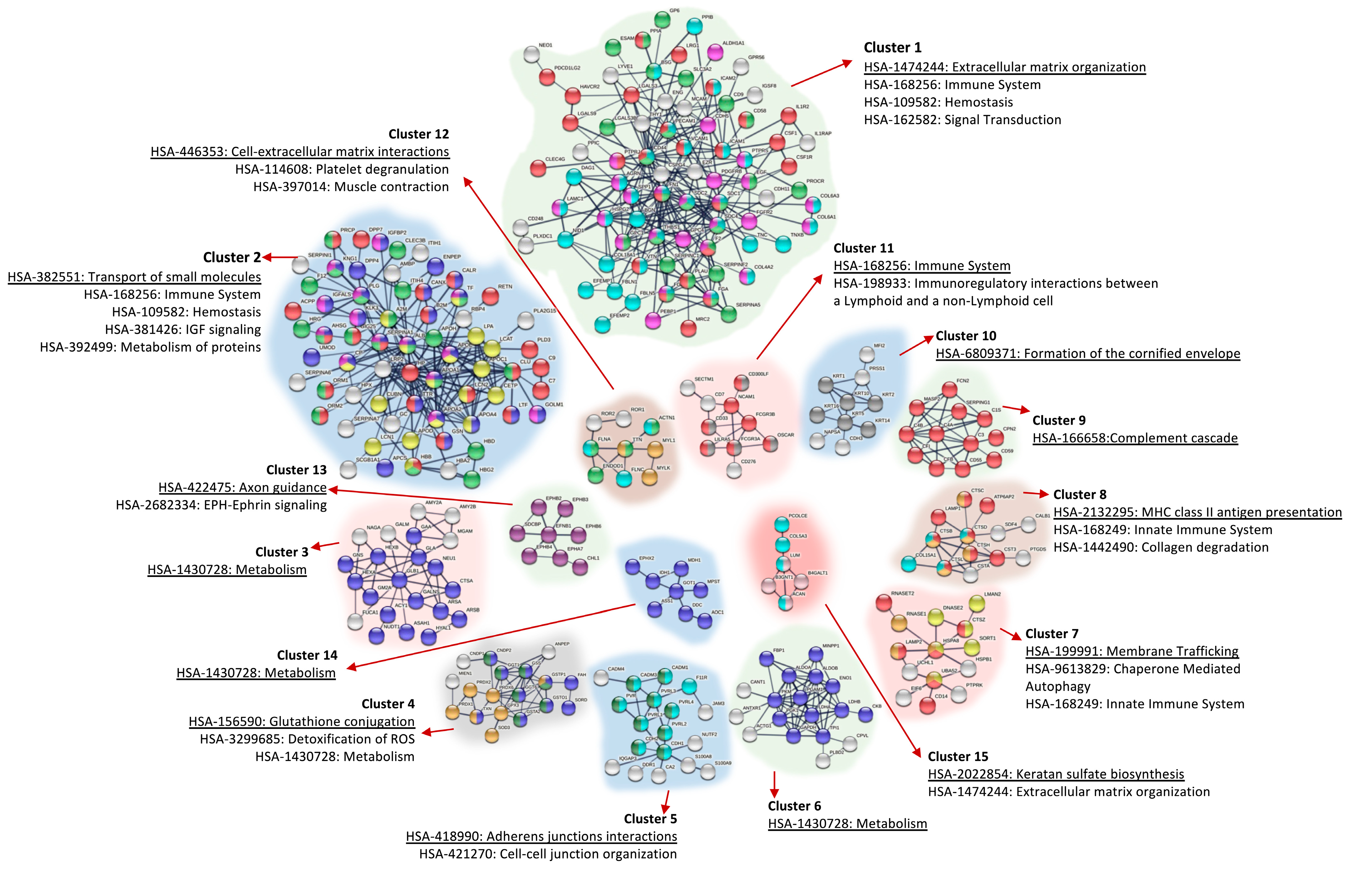 Biomolecules 15 00060 g004 Biomolecules 15 00060 g004