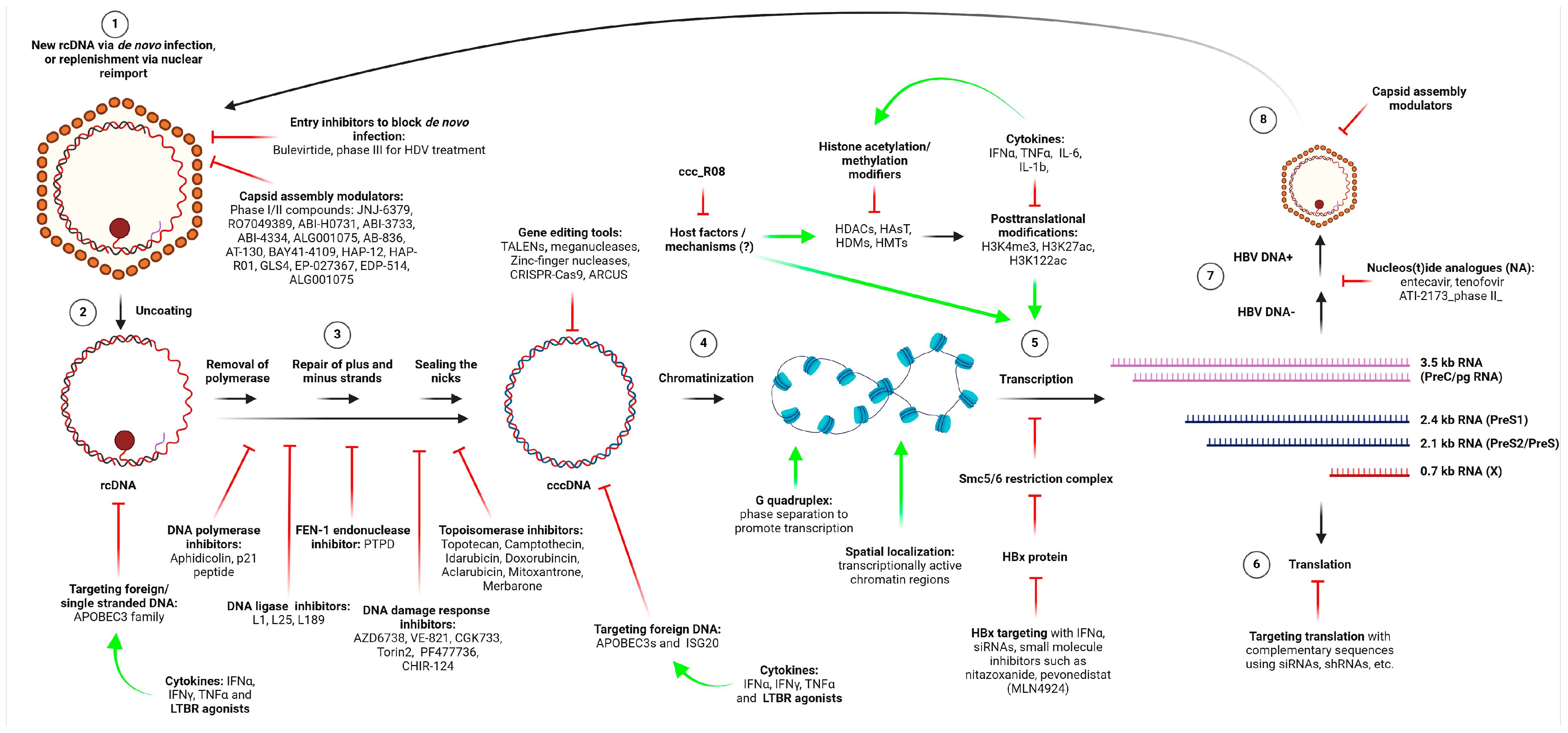 Biomolecules 15 00062 g003 Biomolecules 15 00062 g003