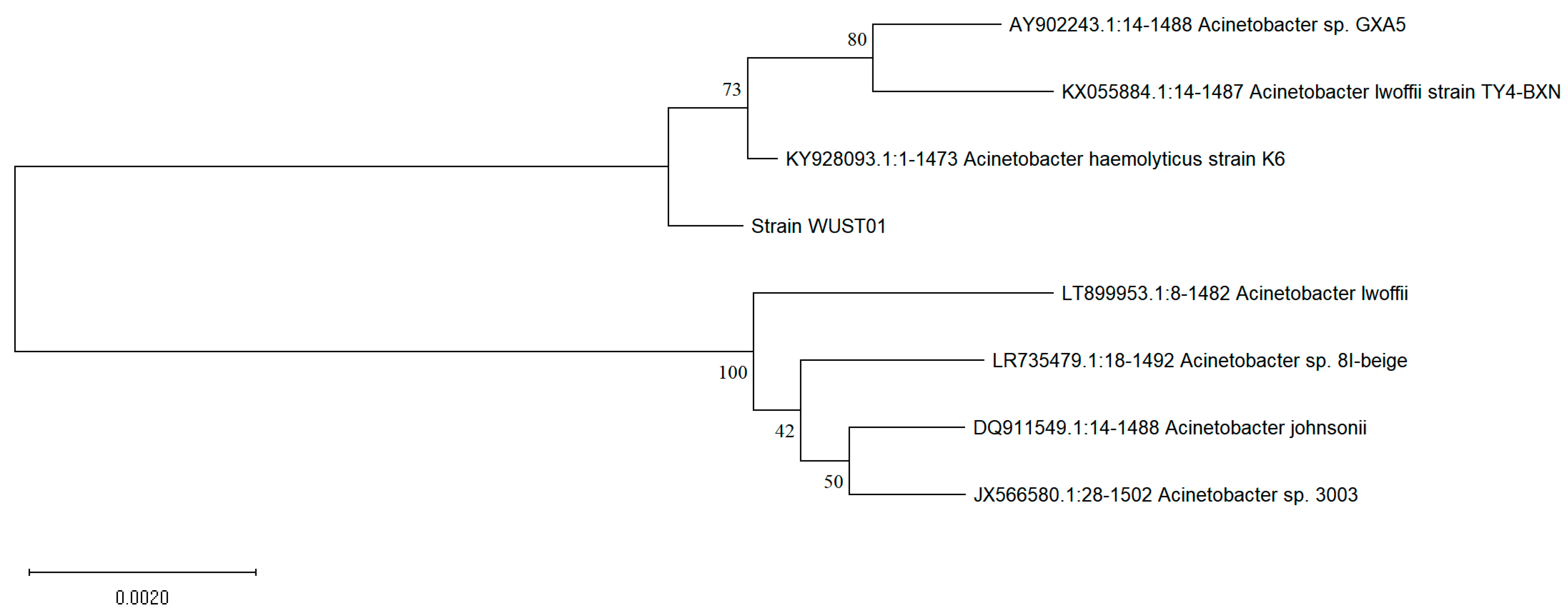 Biomolecules 15 00063 g001