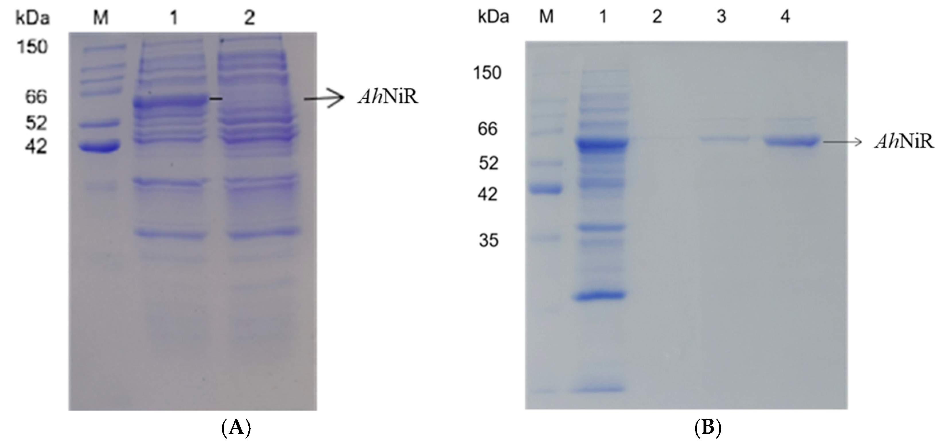 Biomolecules 15 00063 g002