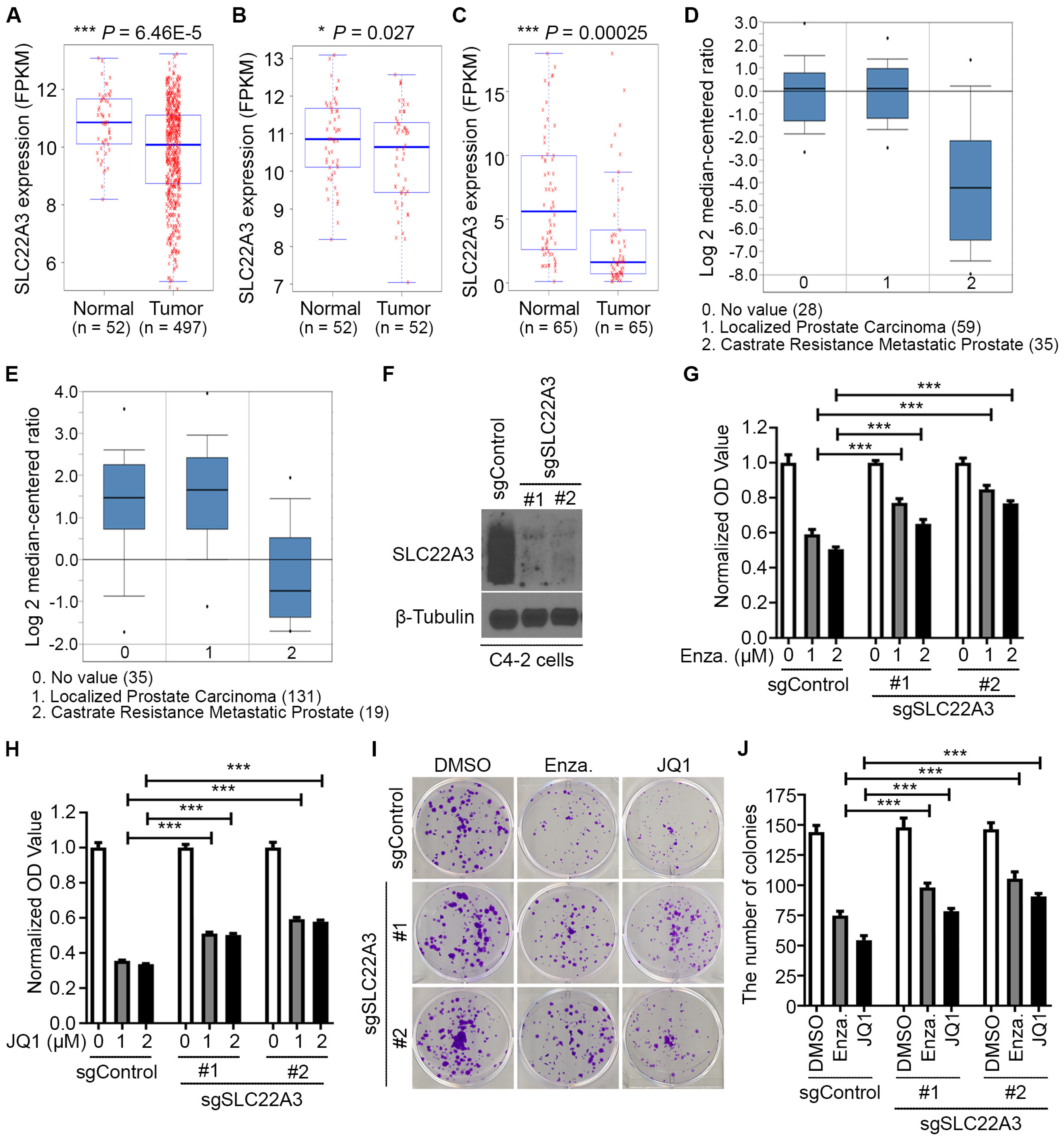 Biomolecules 15 00064 g001