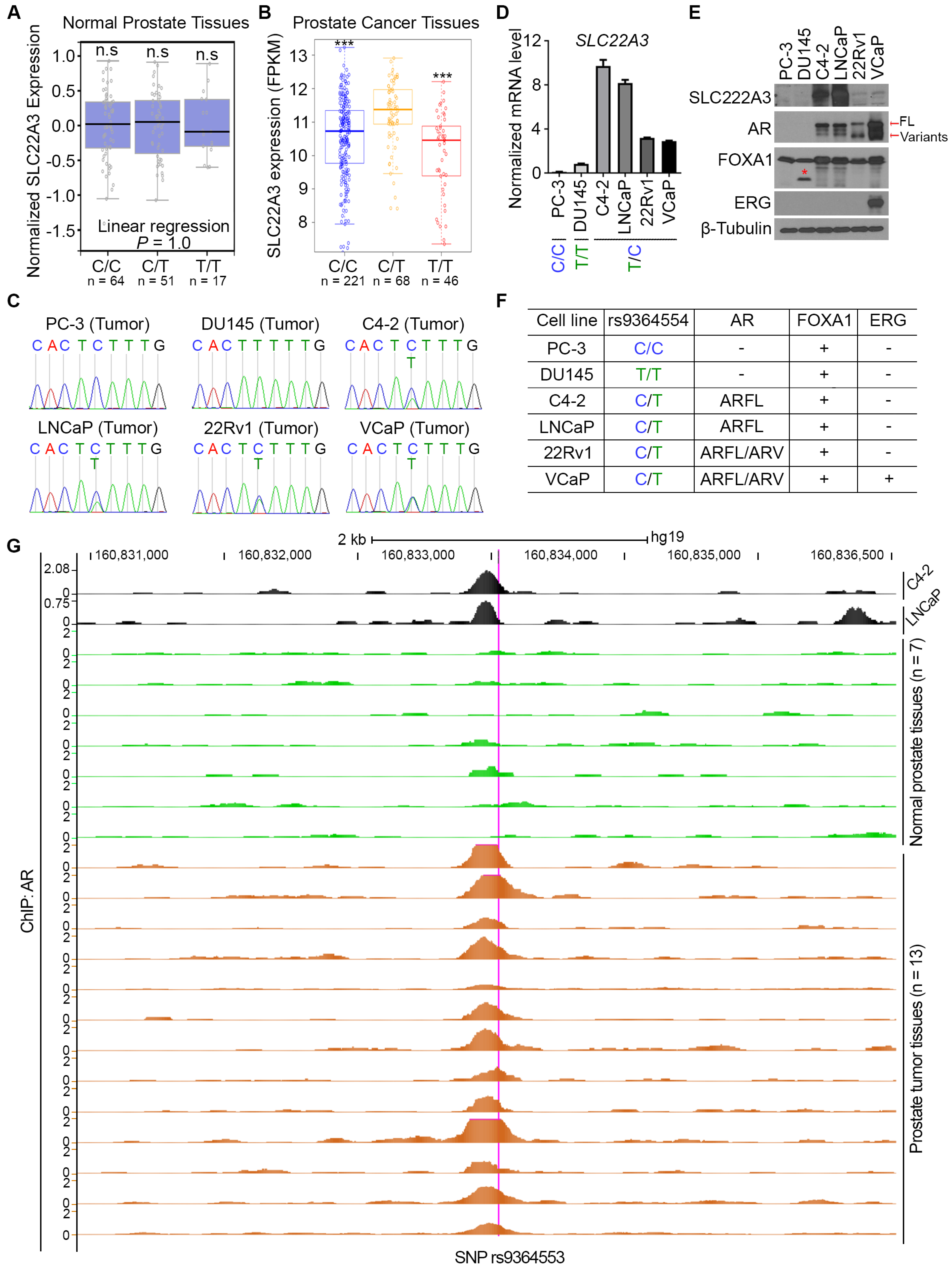 Biomolecules 15 00064 g002