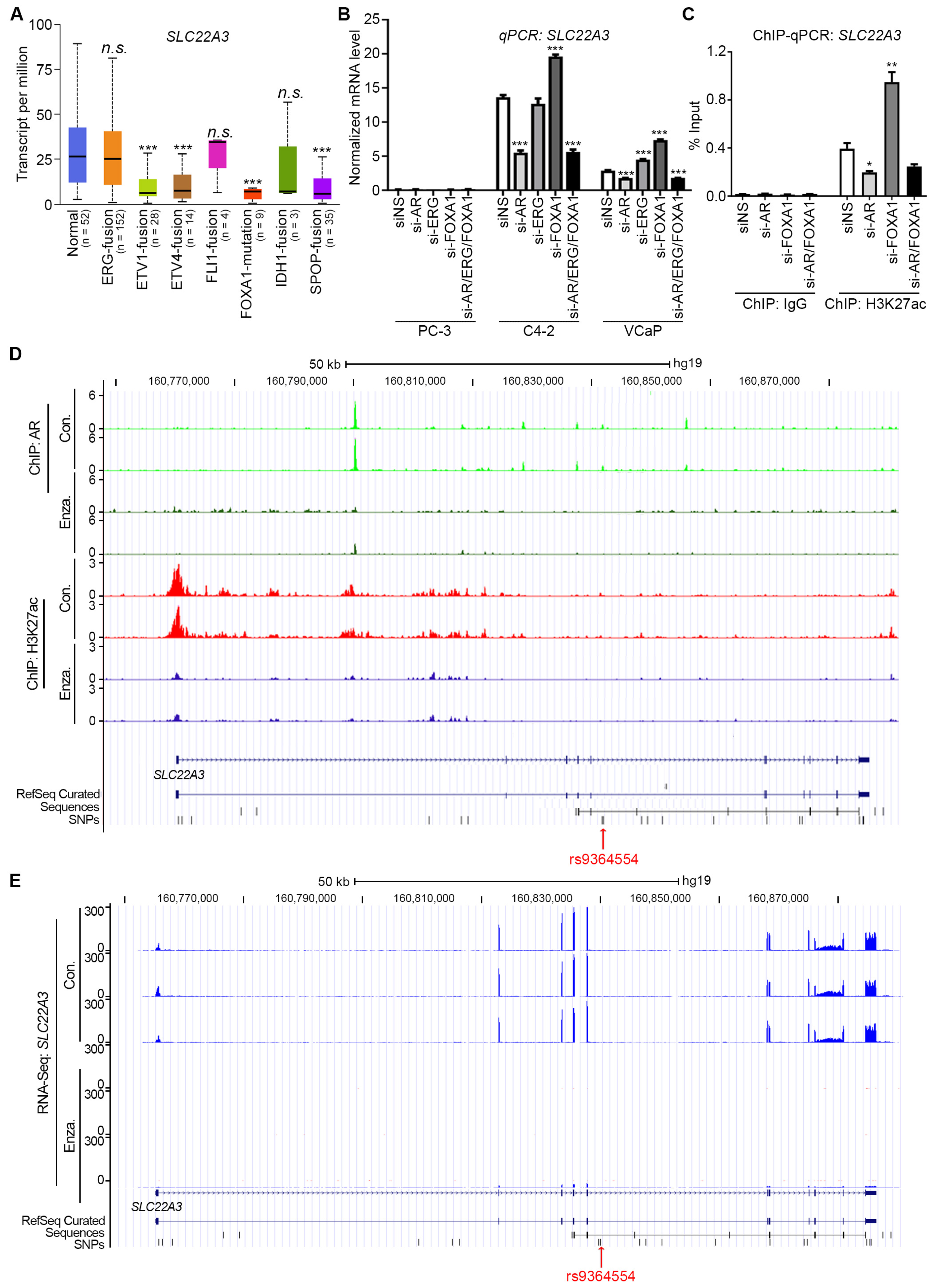 Biomolecules 15 00064 g004